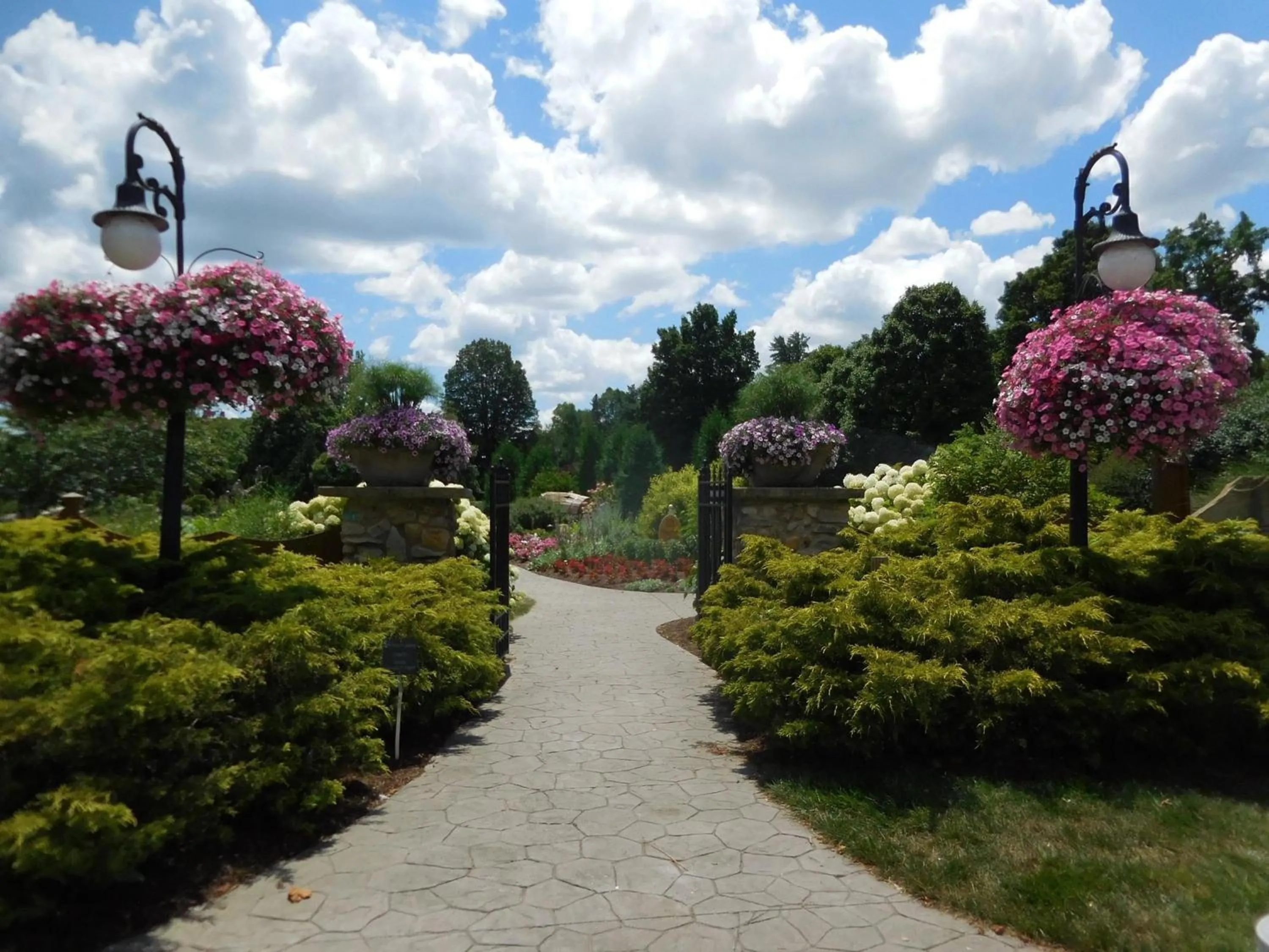 Area and facilities in Holiday Inn Express & Suites - Marion by IHG