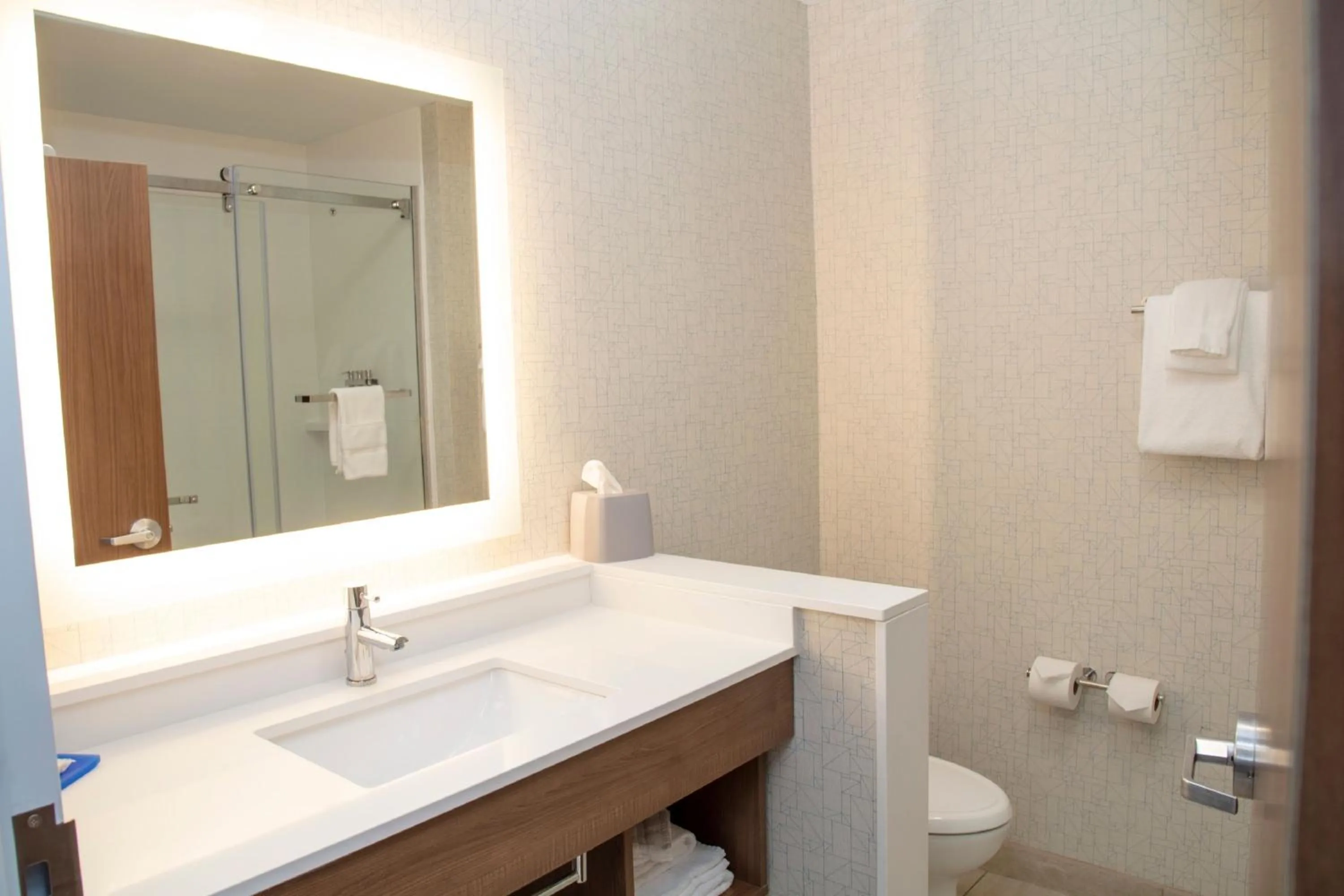 Bathroom in Holiday Inn Express & Suites - Marion by IHG