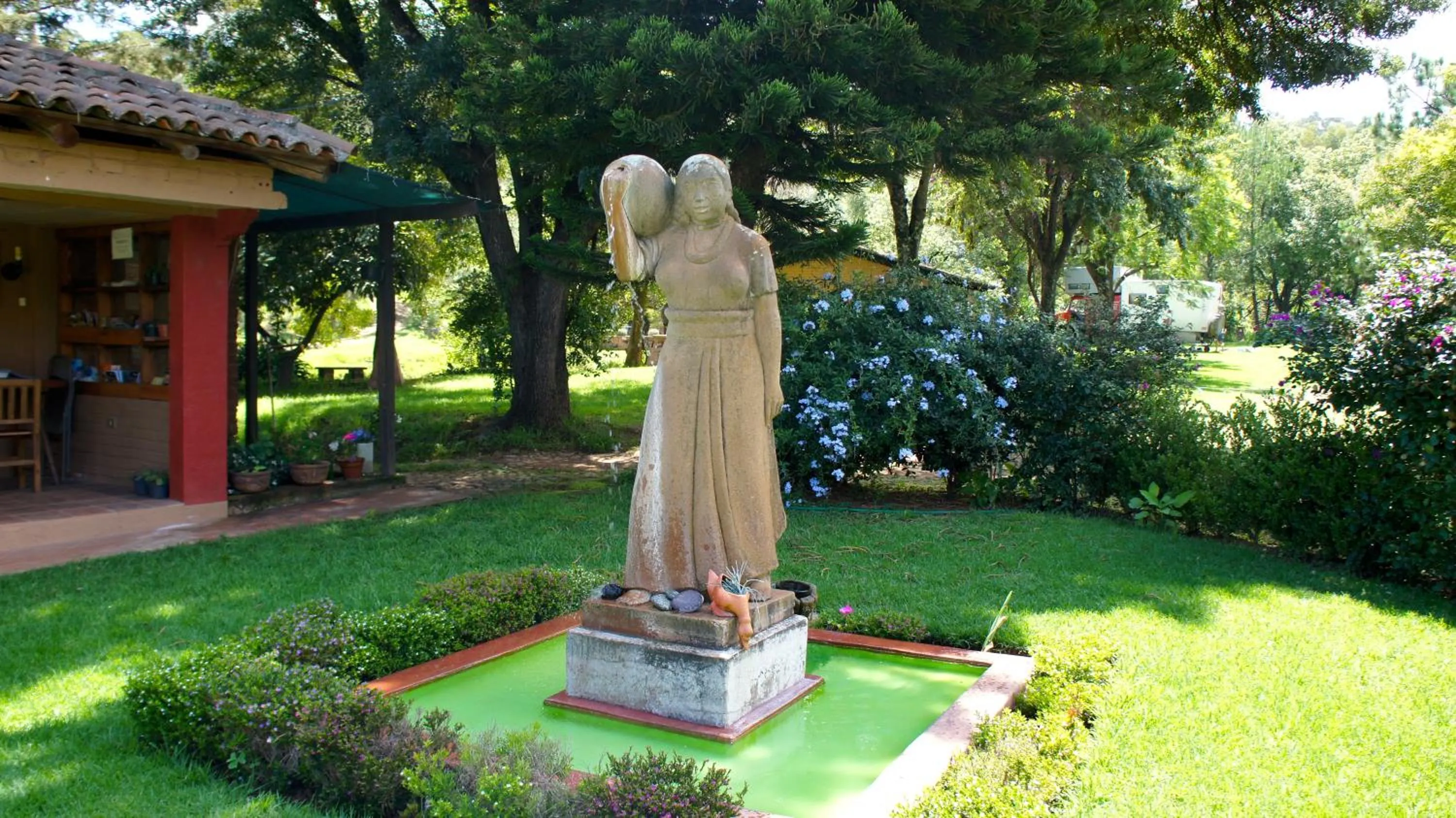 Garden in Villa Patzcuaro Garden Hotel