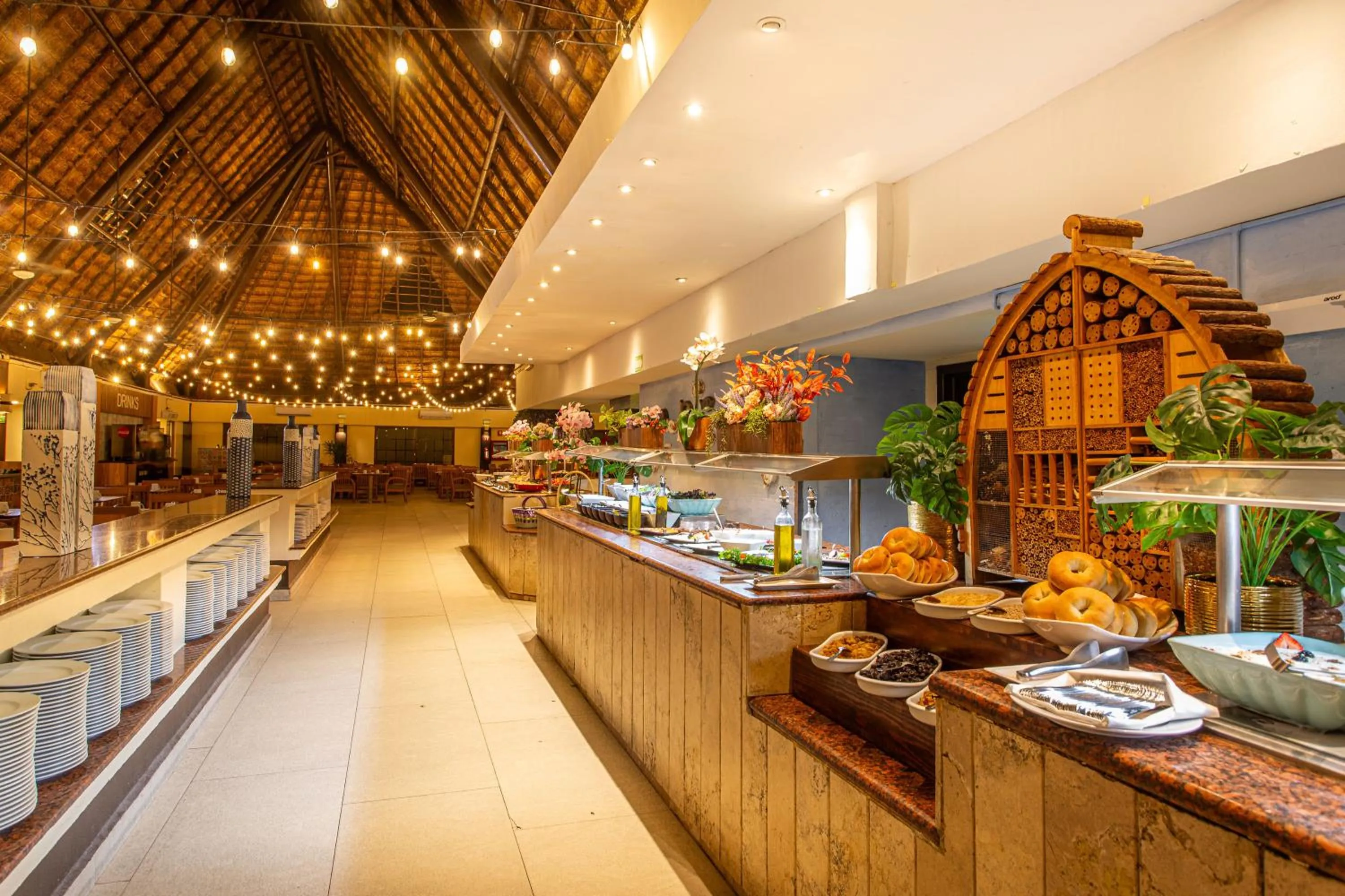 Restaurant/places to eat in Select Club at Sandos Caracol All Inclusive - Adults Only Area
