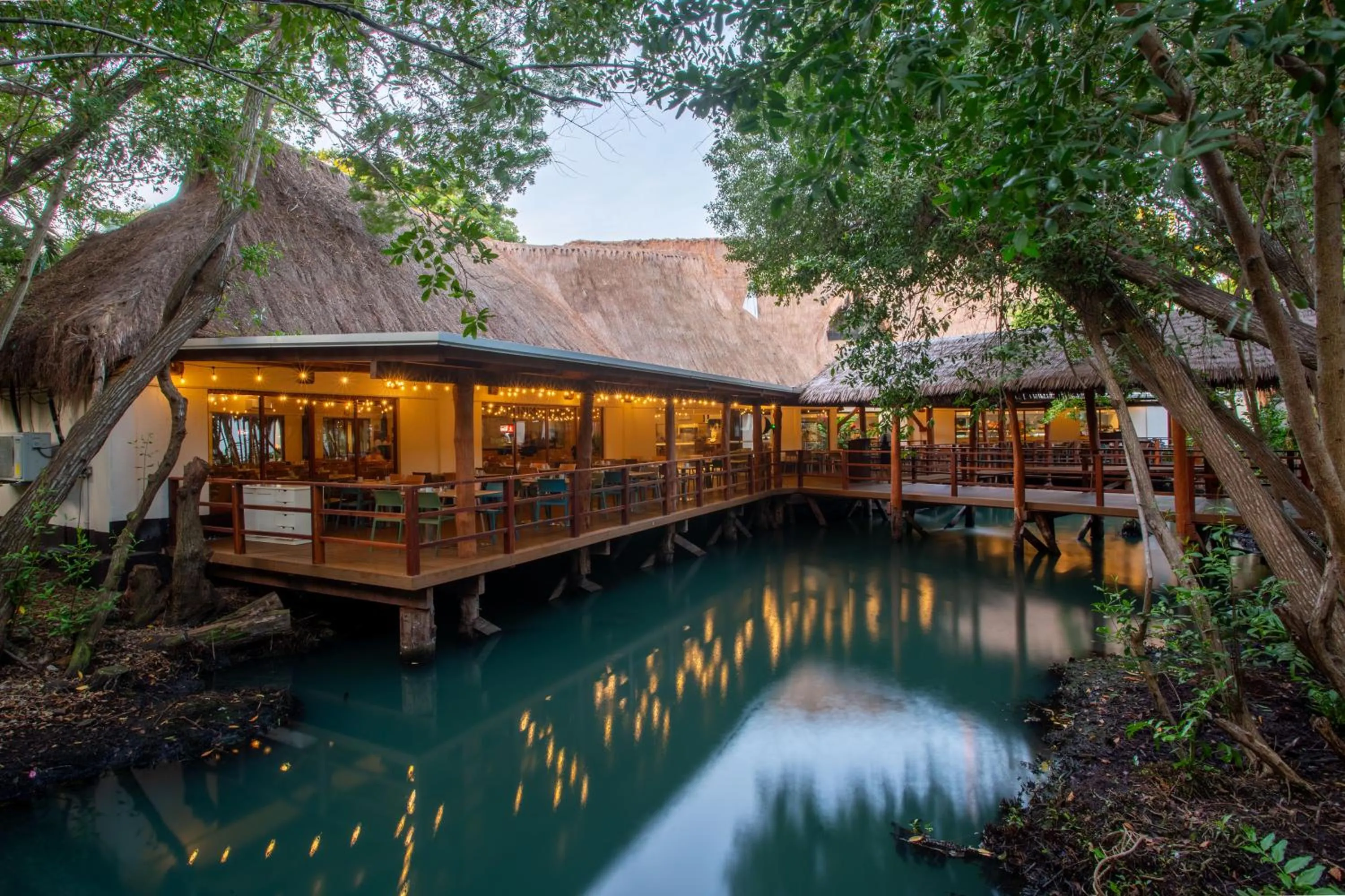 Restaurant/places to eat in Select Club at Sandos Caracol All Inclusive - Adults Only Area