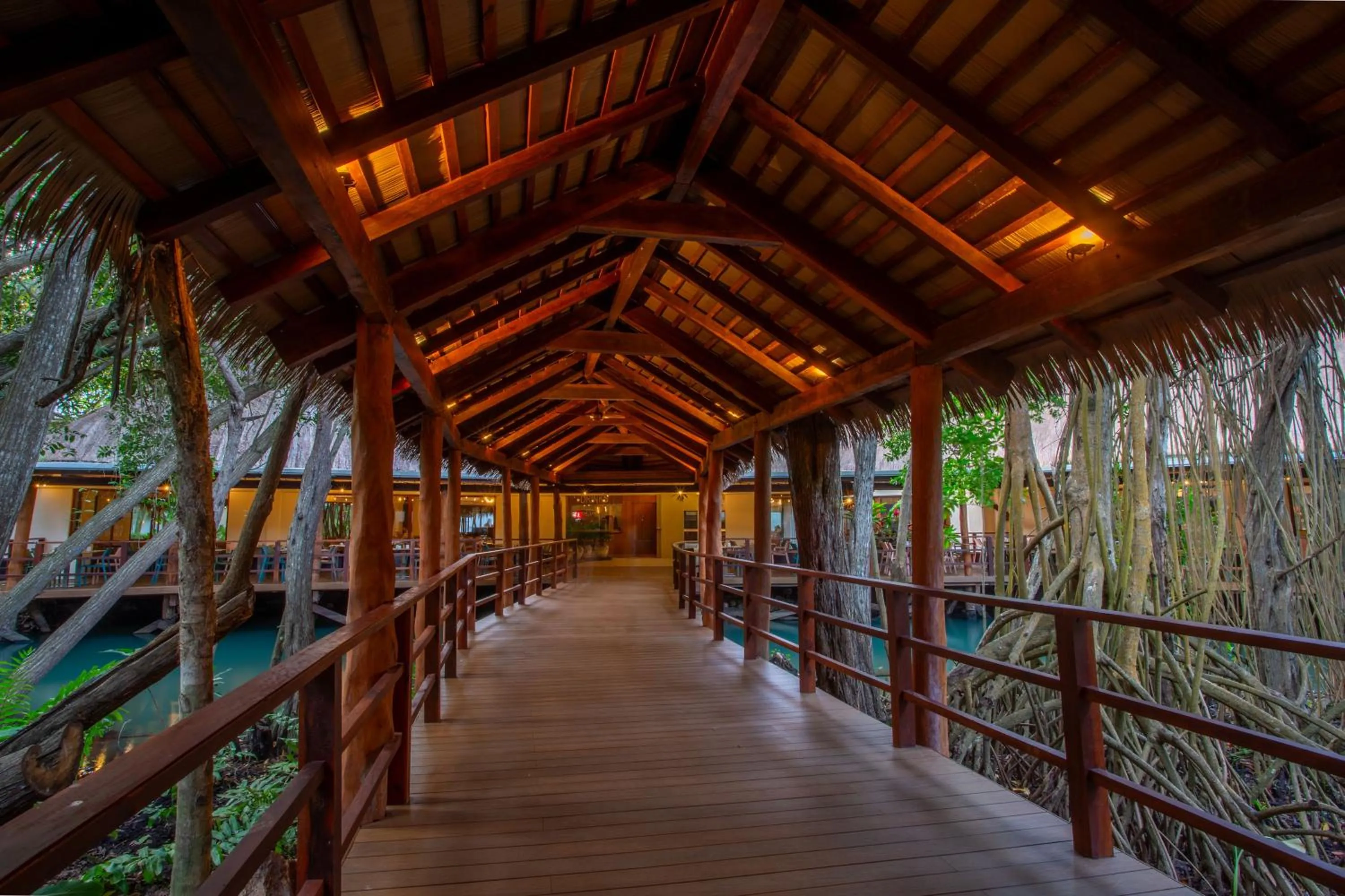 Restaurant/places to eat in Select Club at Sandos Caracol All Inclusive - Adults Only Area