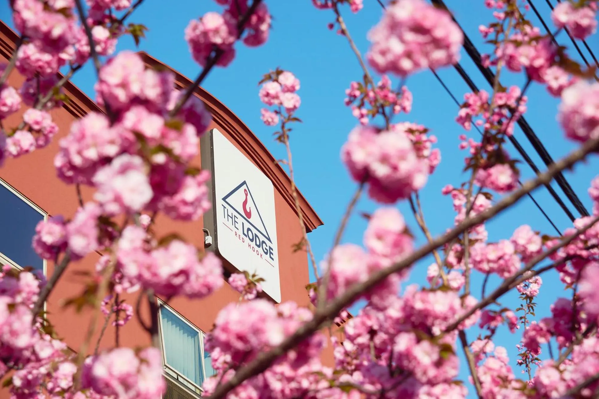 Property building in The Lodge Red Hook