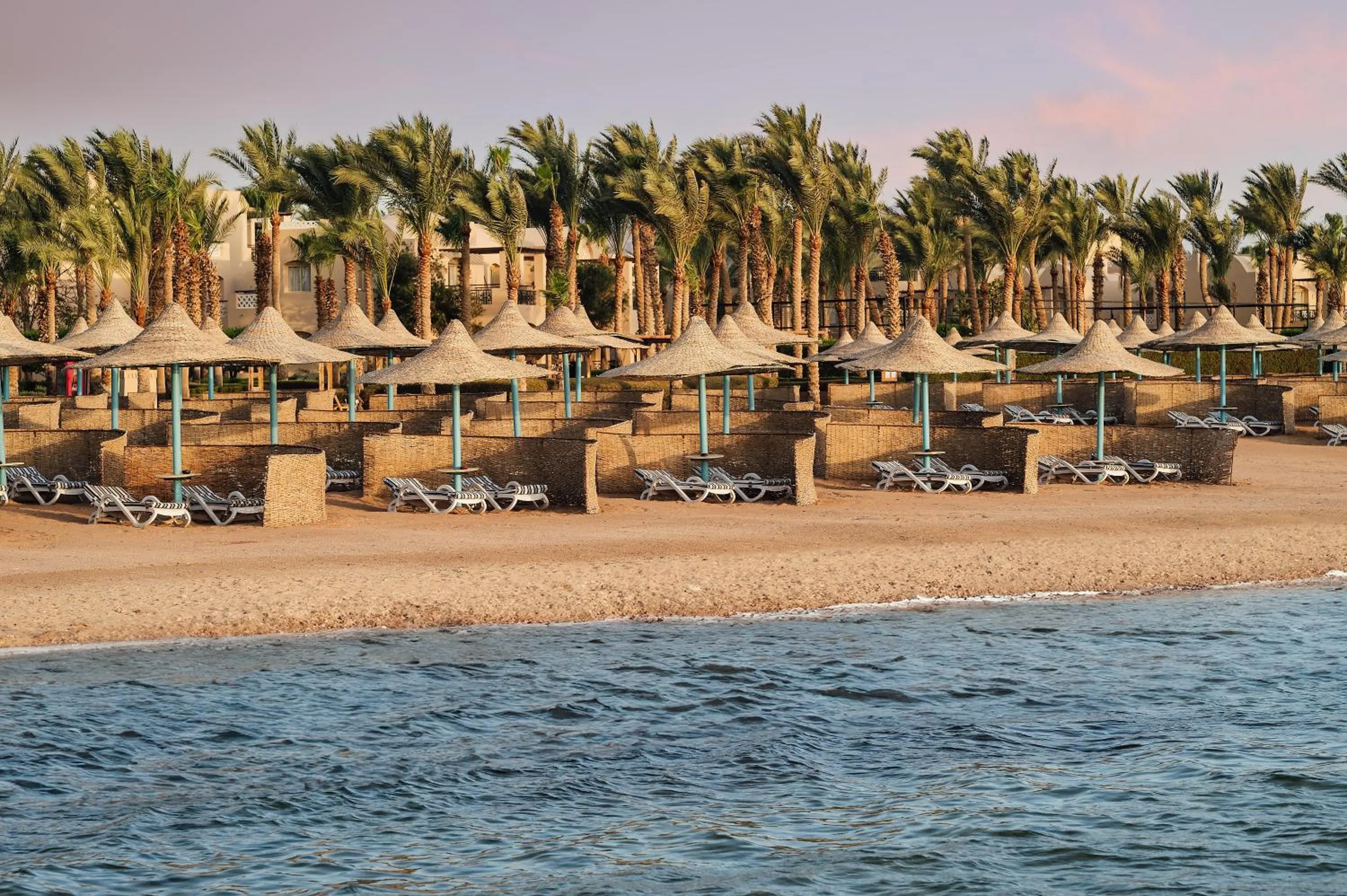 Beach in TUI MAGIC LIFE Redsina Sharm El Sheikh