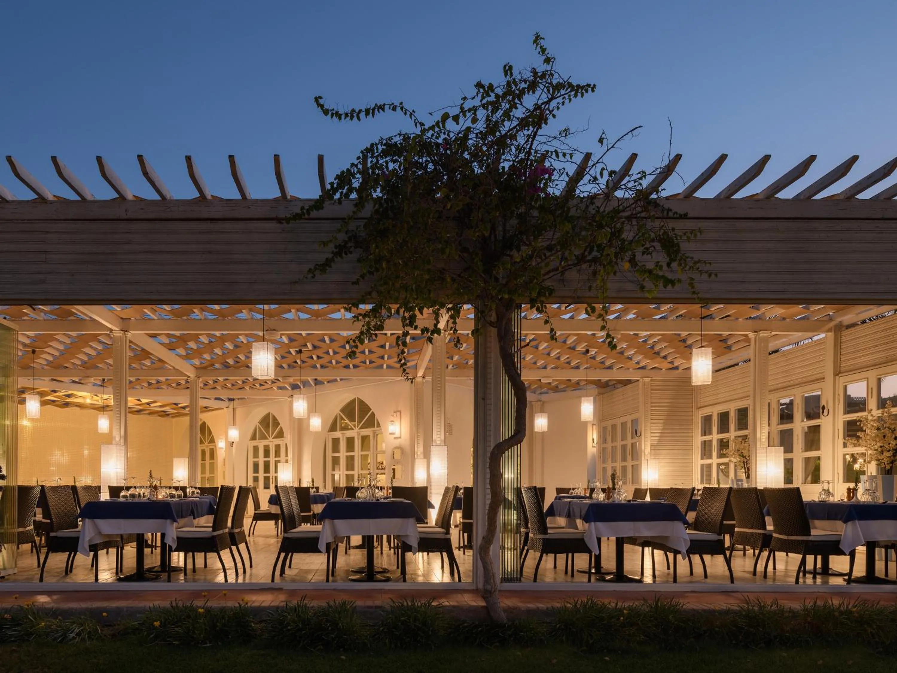 Restaurant/places to eat in TUI MAGIC LIFE Redsina Sharm El Sheikh