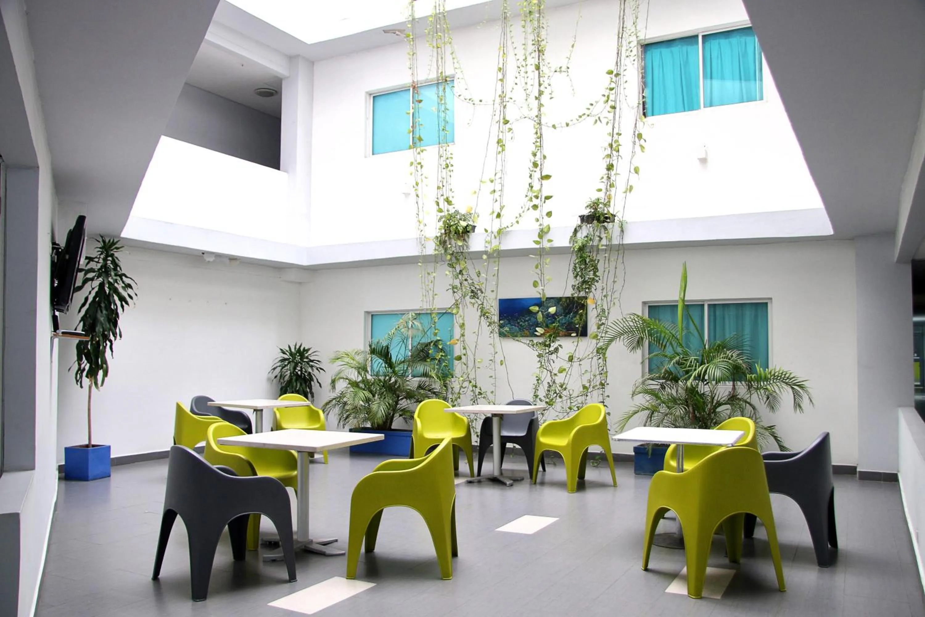 Restaurant/places to eat in Ayenda 1801 El Oceano