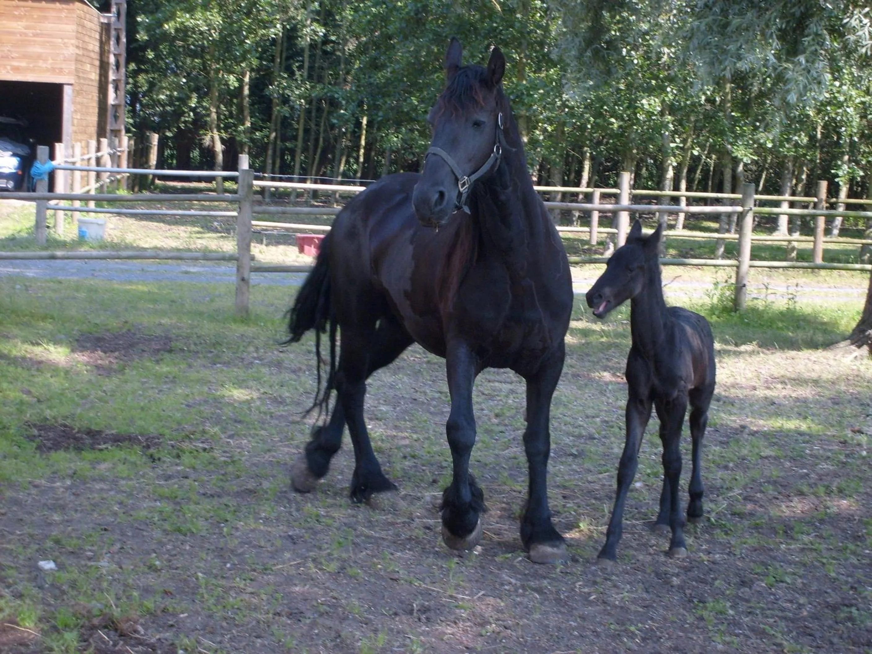 Day in B&B Ter Castaigne