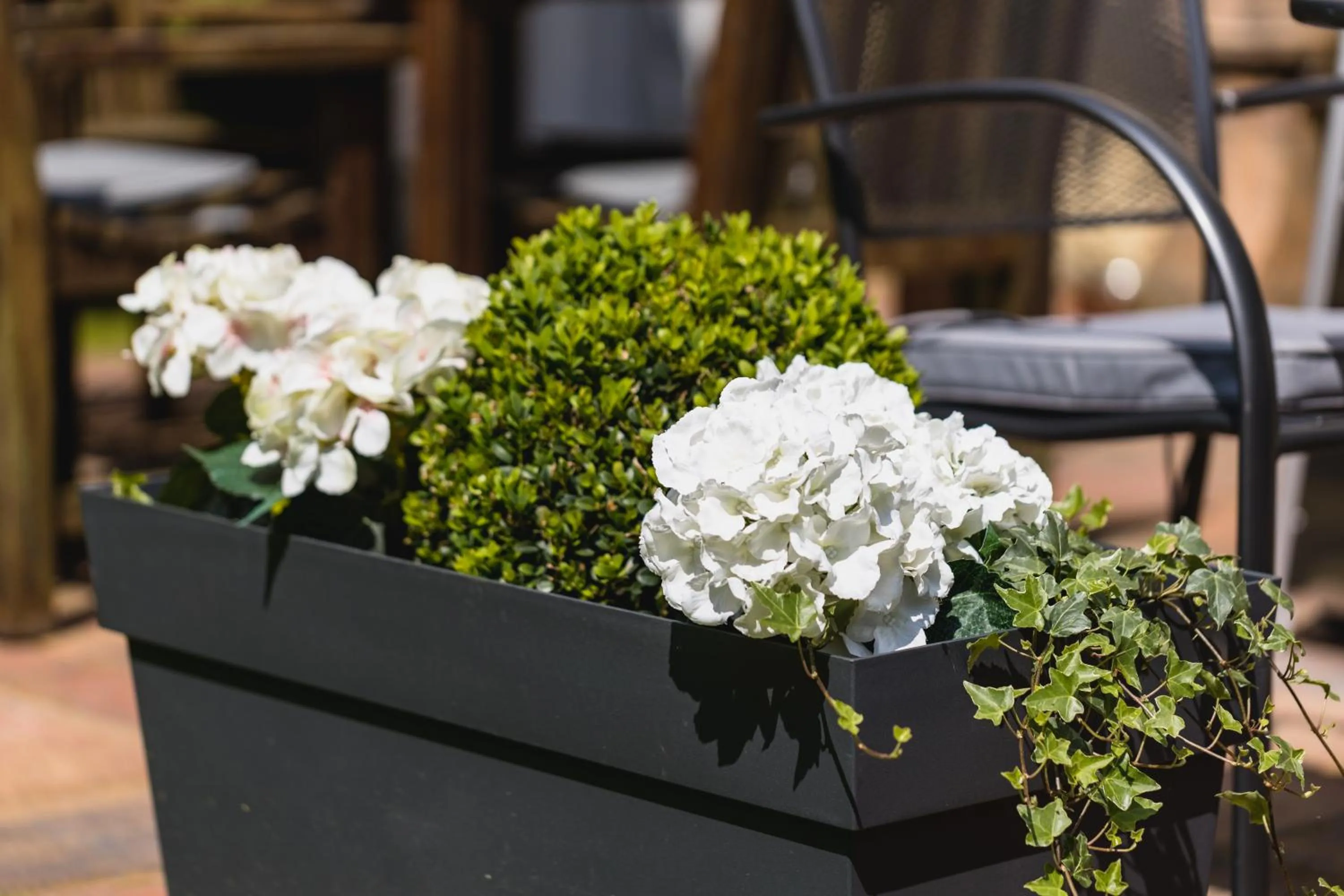 Garden in Alston House Hotel