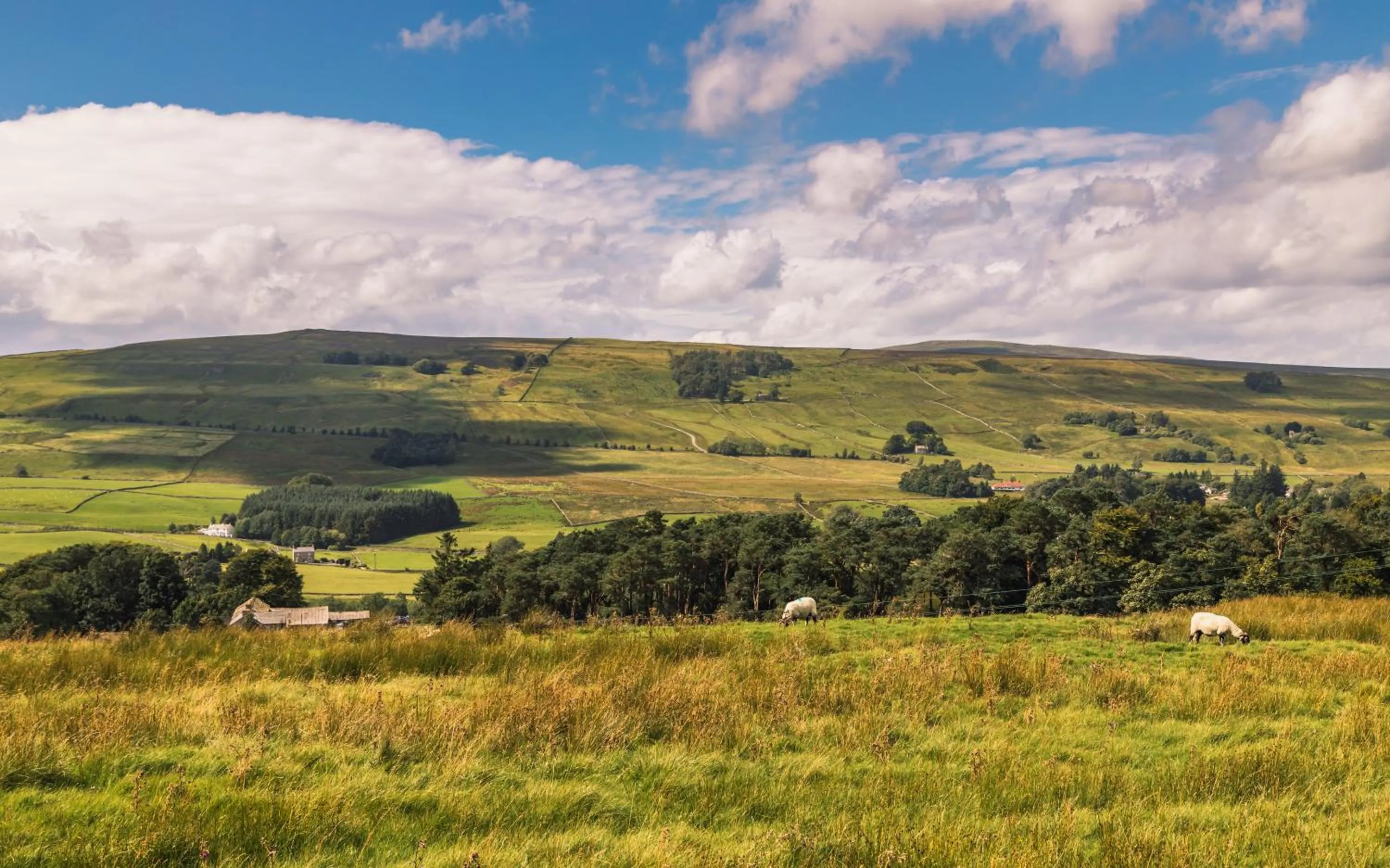 Location in Alston House Hotel