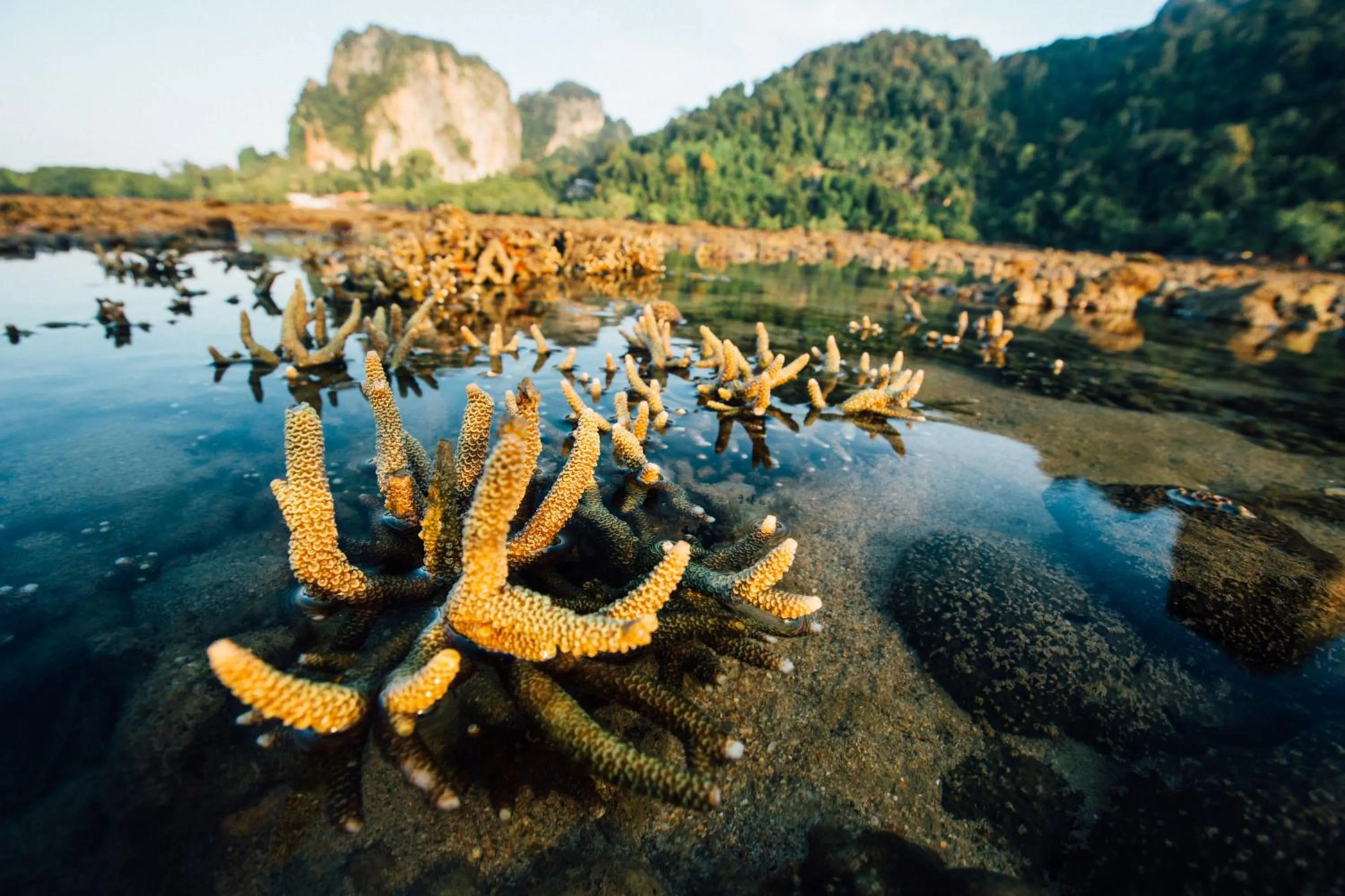 Off site in Railay Garden View Resort