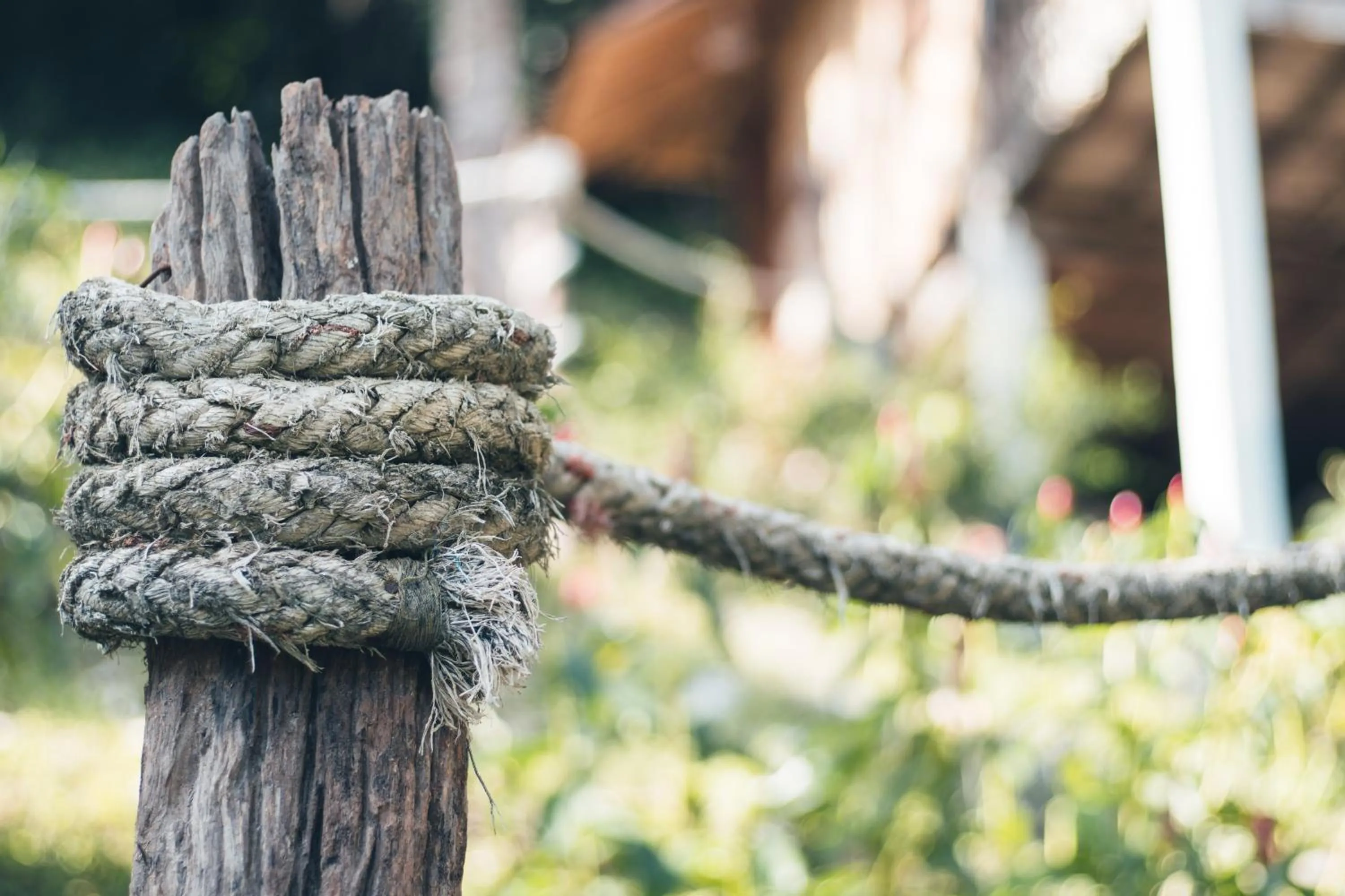 View (from property/room) in Railay Garden View Resort