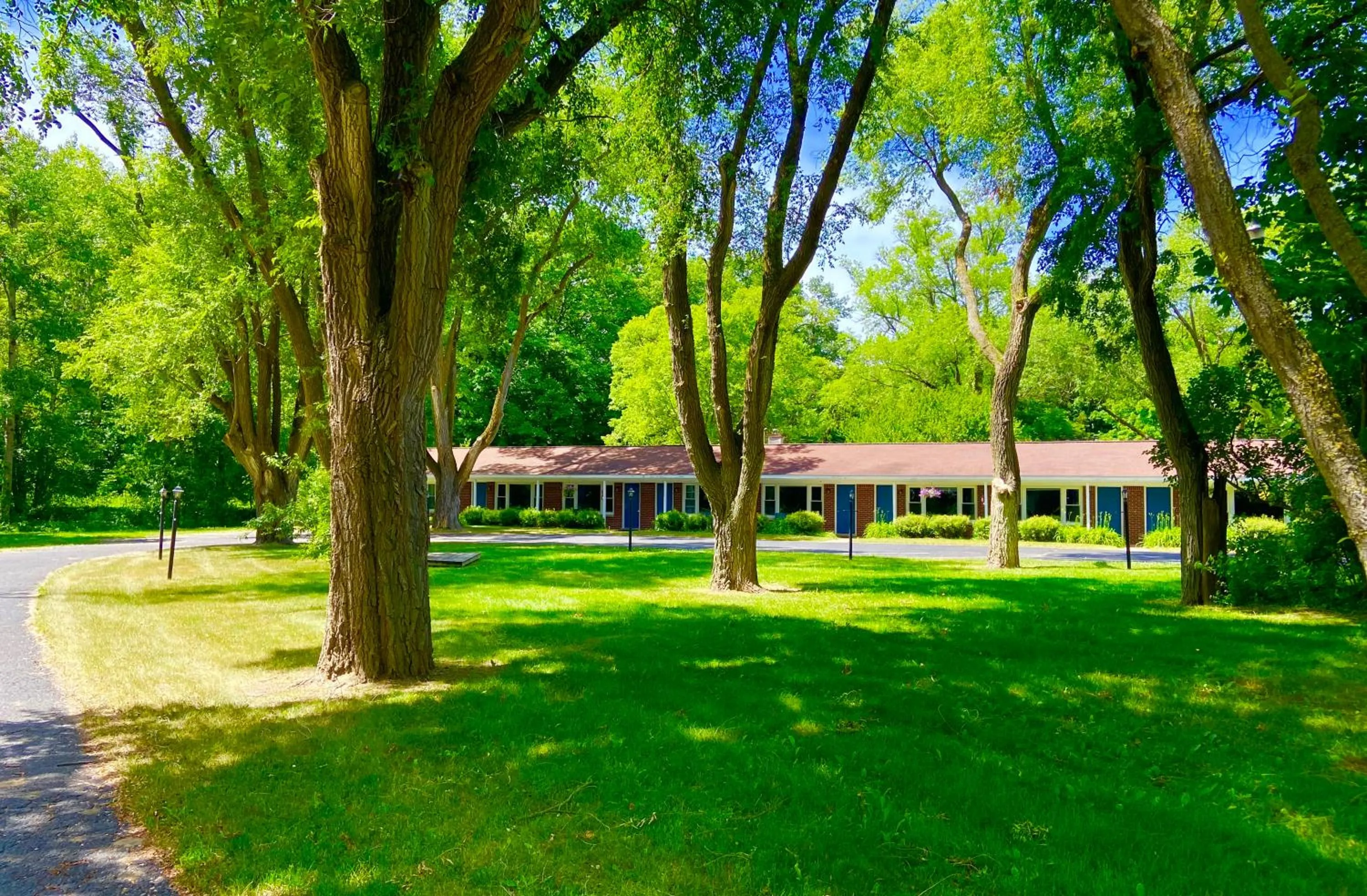 Natural landscape in Elk Rapids Lakeshore Inn