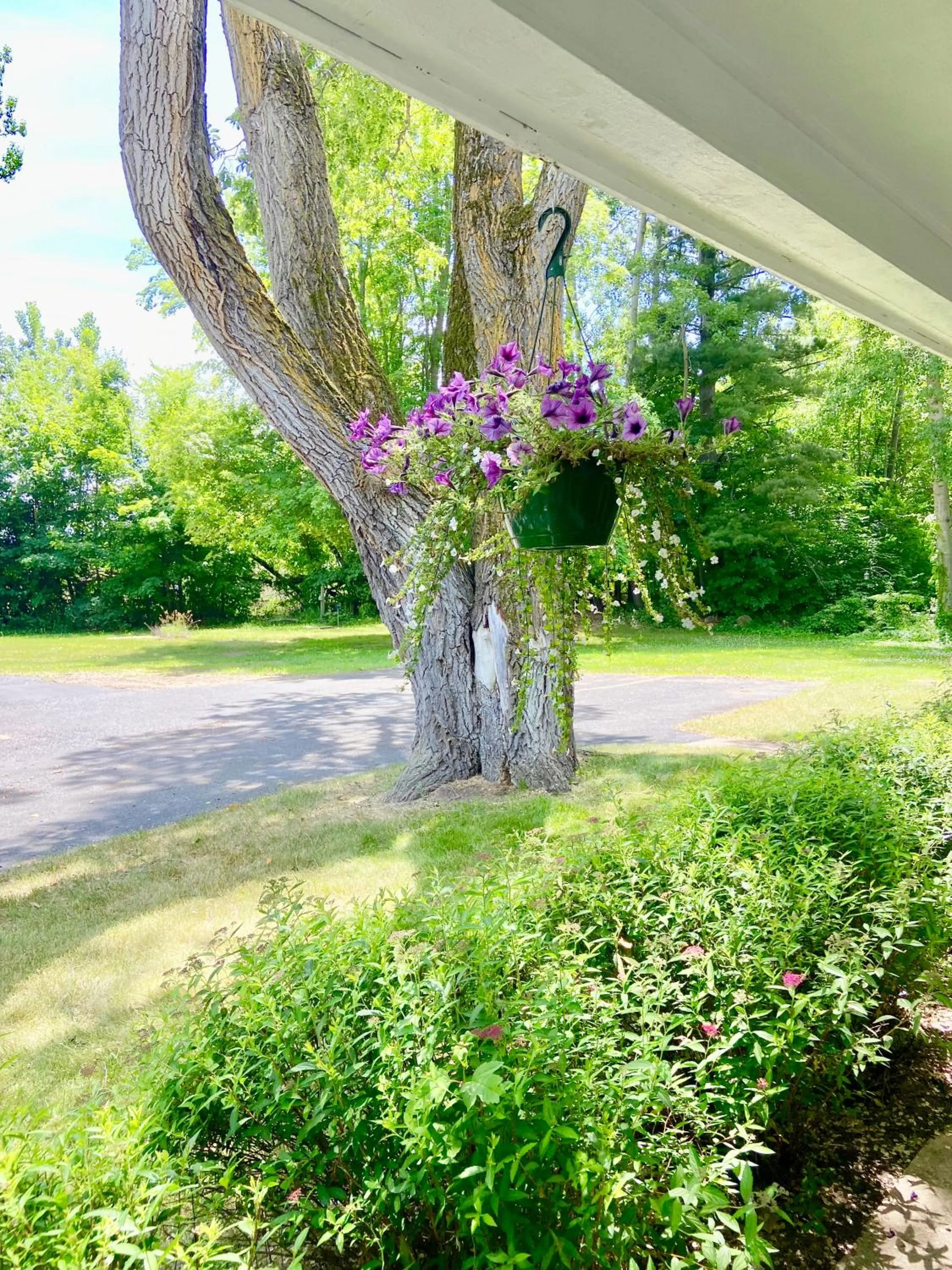 Garden view in Elk Rapids Lakeshore Inn