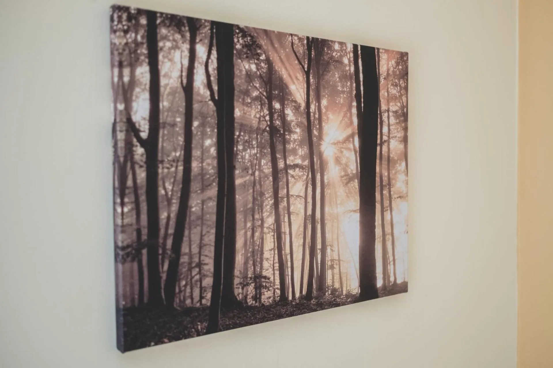 Photo of the whole room in Cybulskiego Guest Rooms