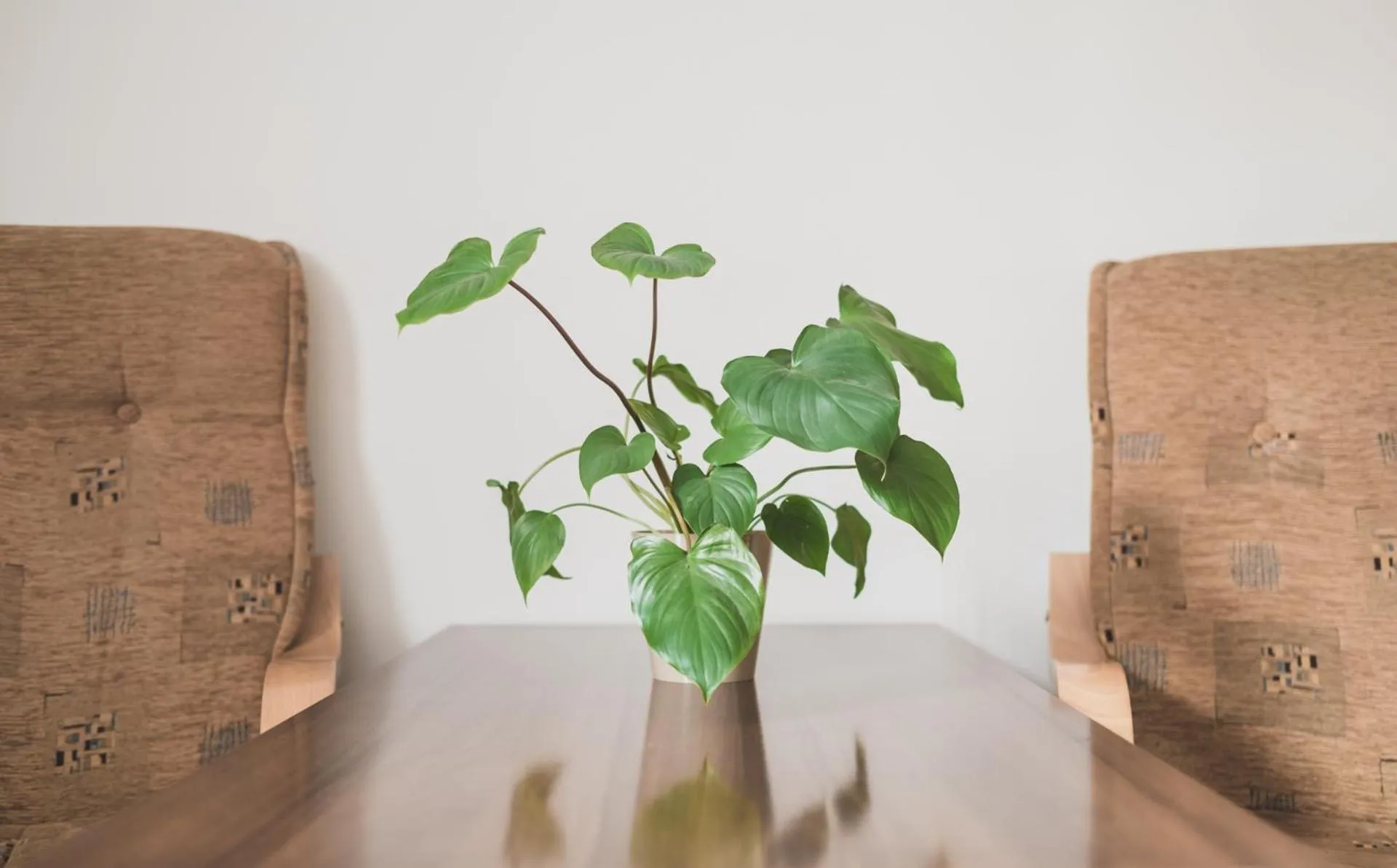 Decorative detail in Cybulskiego Guest Rooms