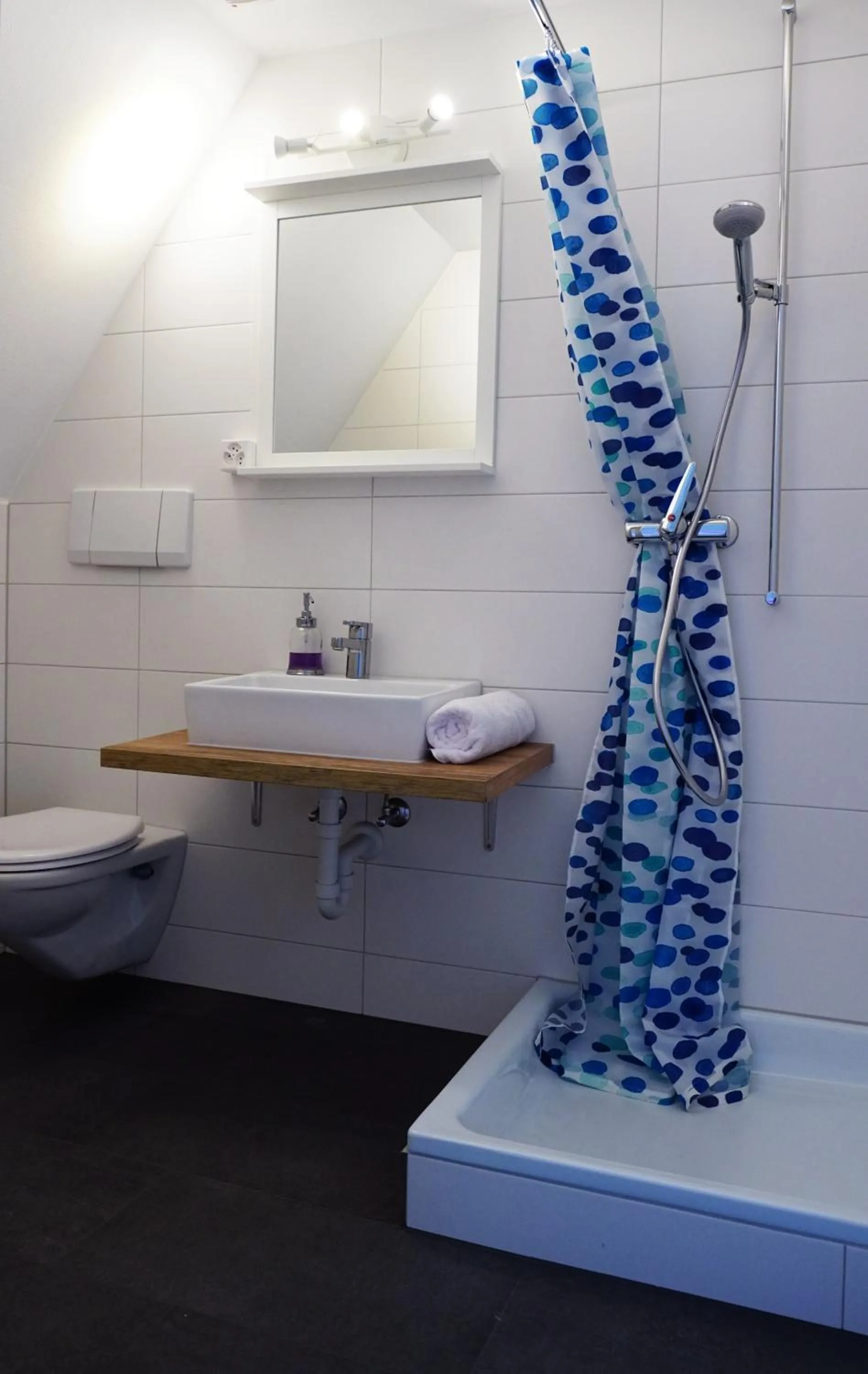 Toilet in Adventure Hostel Interlaken