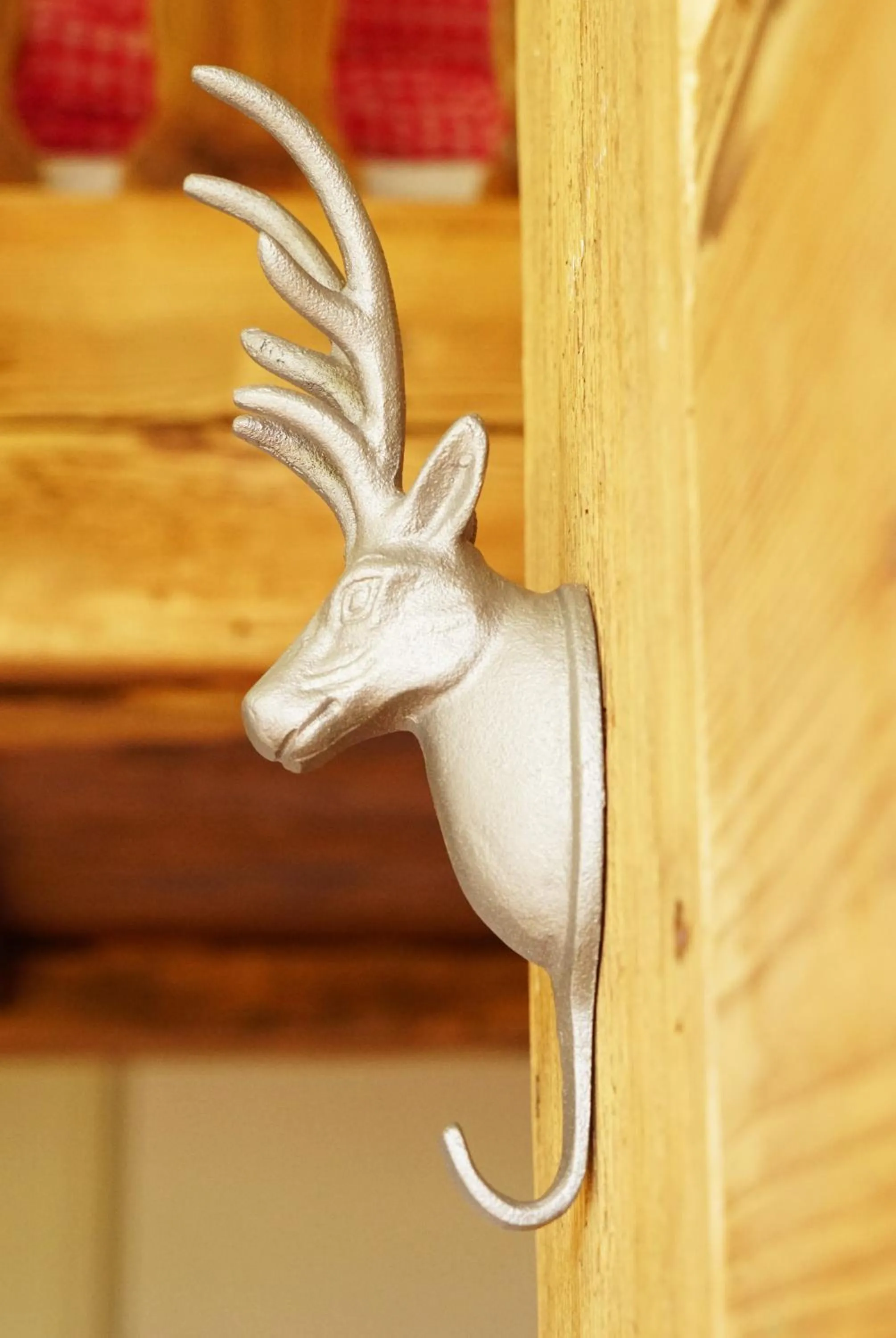 Animals in Adventure Hostel Interlaken