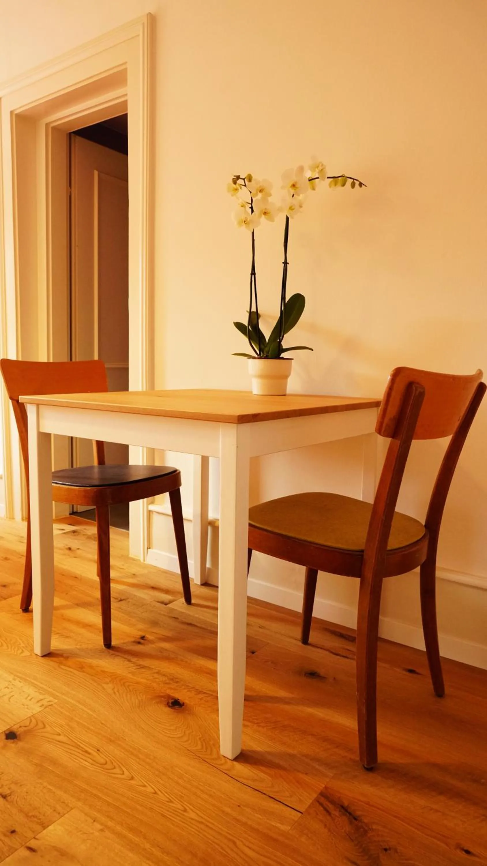 Seating area in Adventure Hostel Interlaken