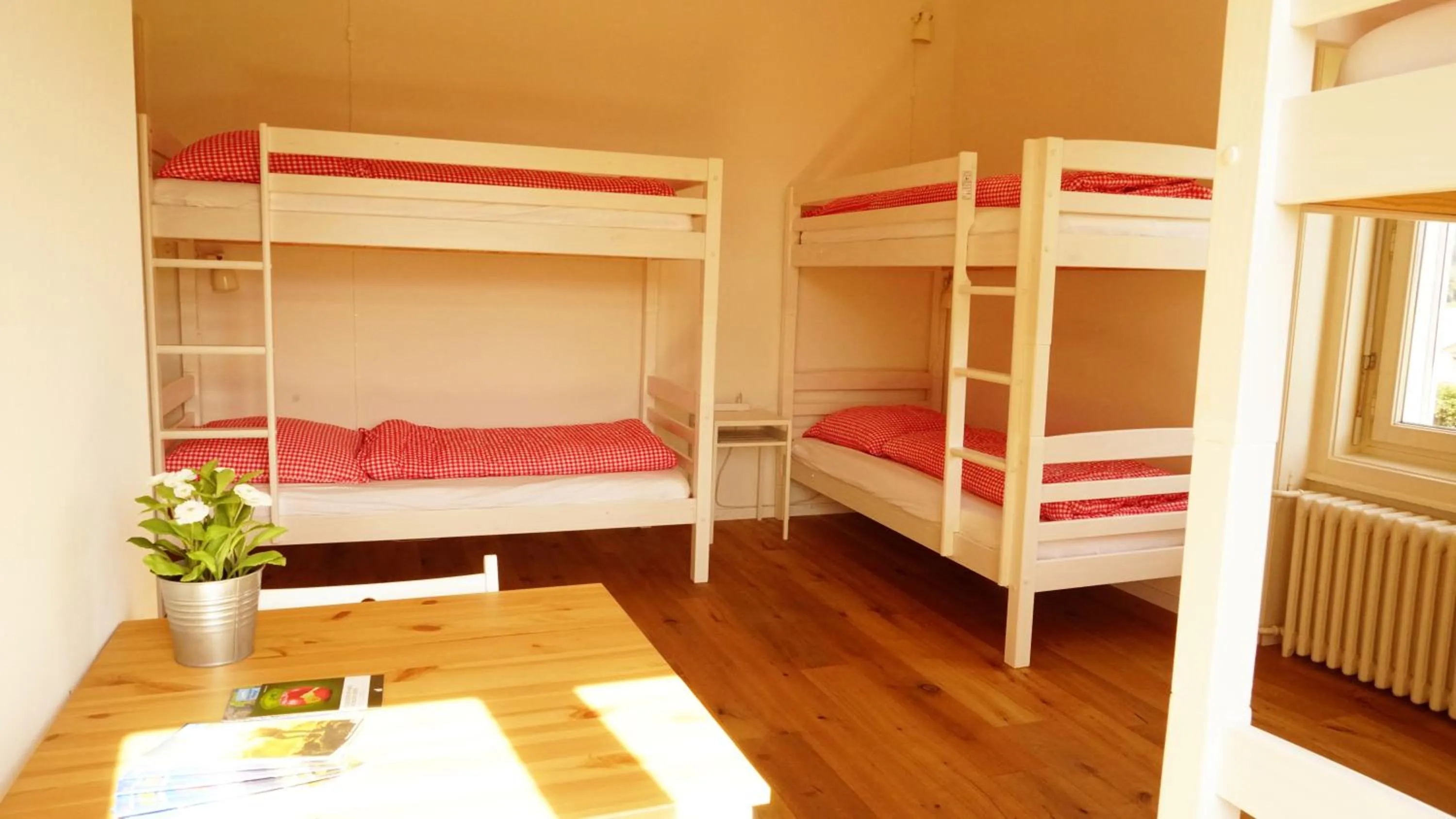 bunk bed, Bed in Adventure Hostel Interlaken