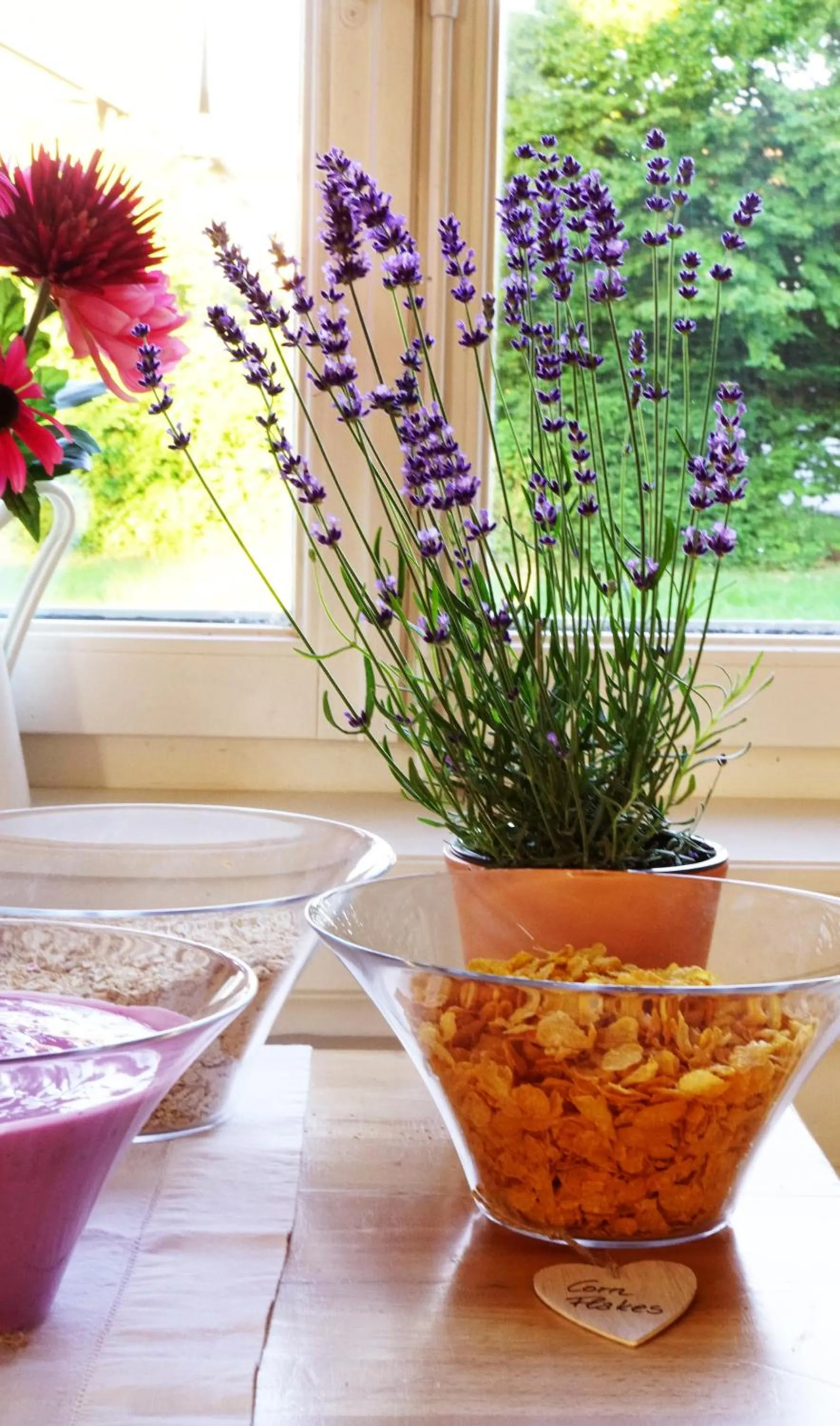 Breakfast in Adventure Hostel Interlaken