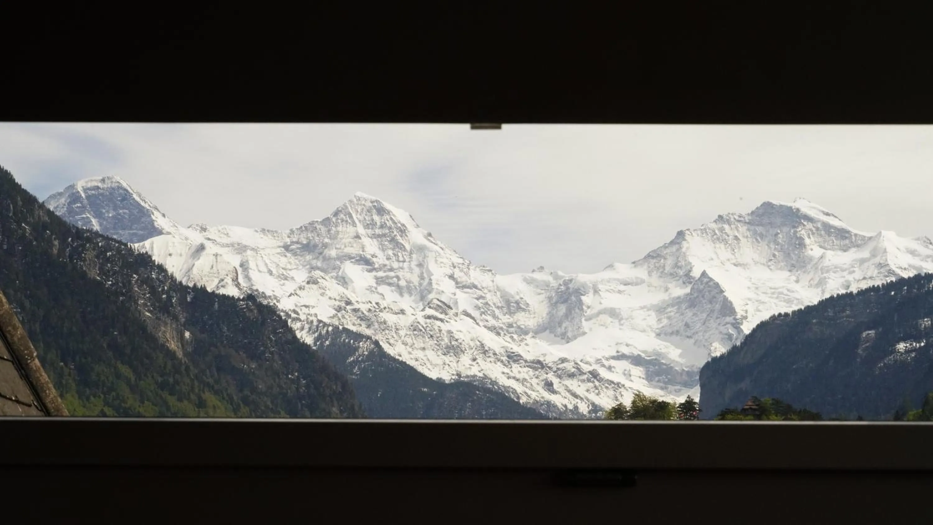 View (from property/room) in Adventure Hostel Interlaken