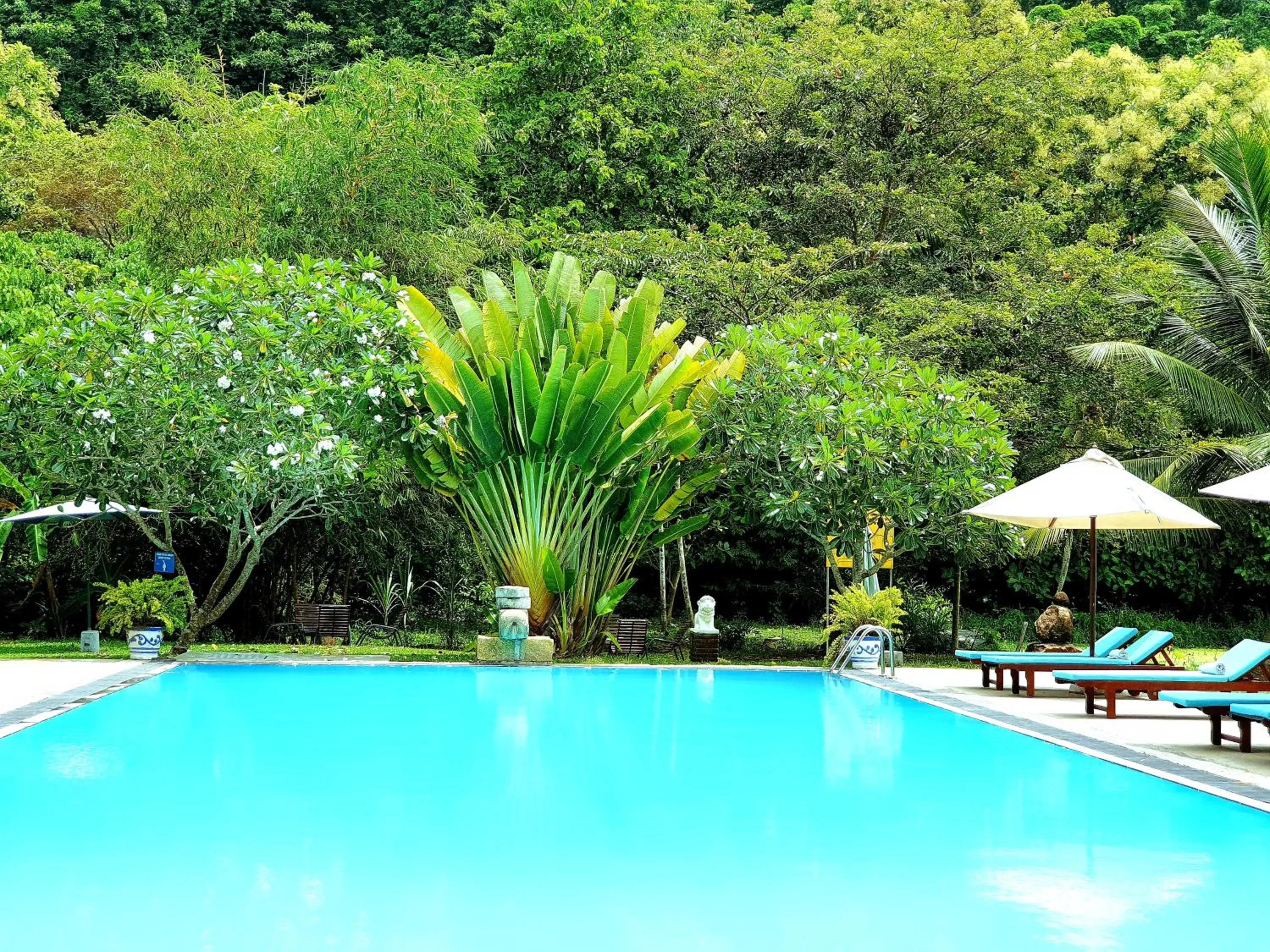 Swimming pool in Nooit Gedacht Heritage Hotel (Original Dutch Governors House)