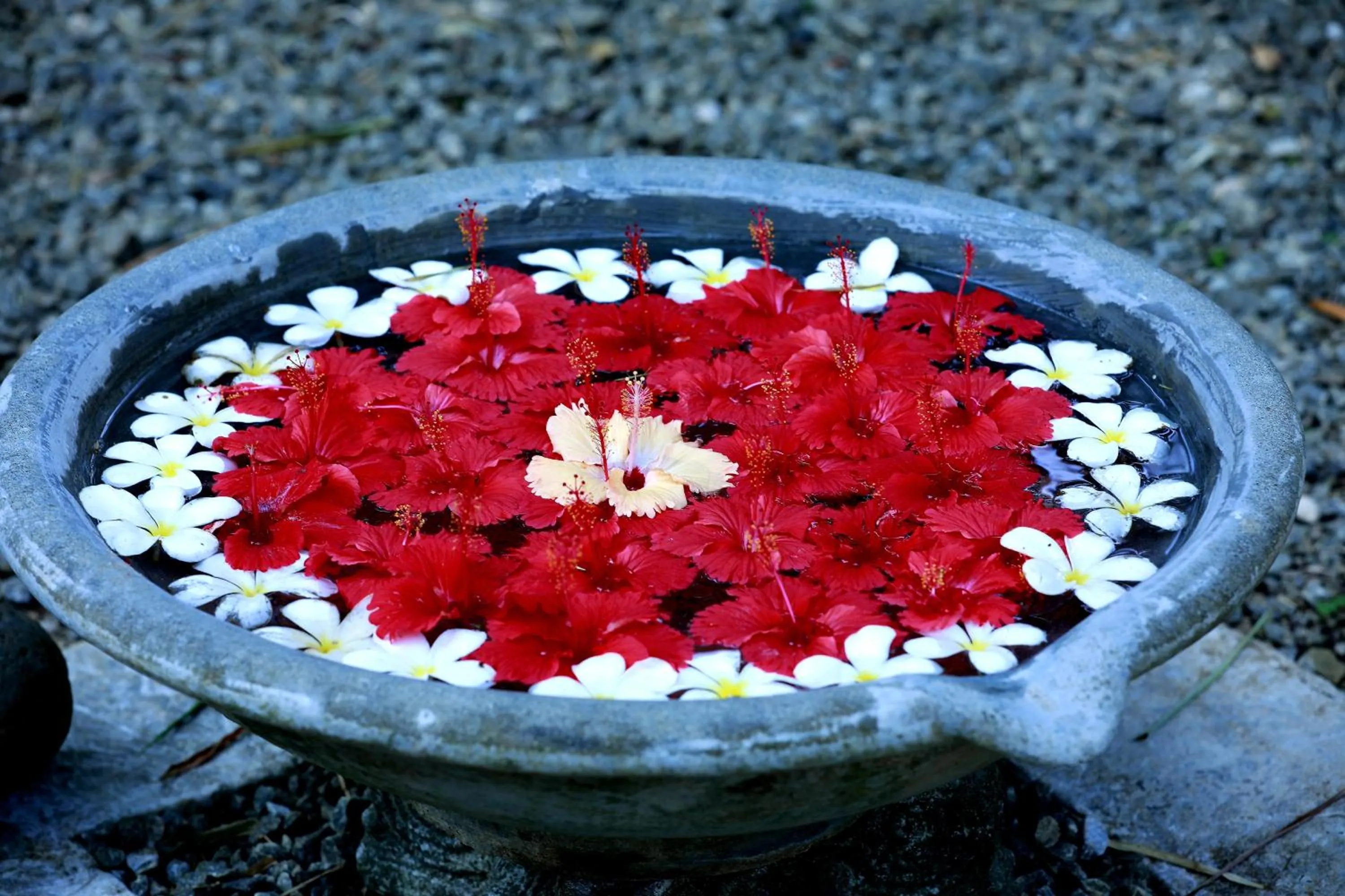 Decorative detail in Nooit Gedacht Heritage Hotel (Original Dutch Governors House)