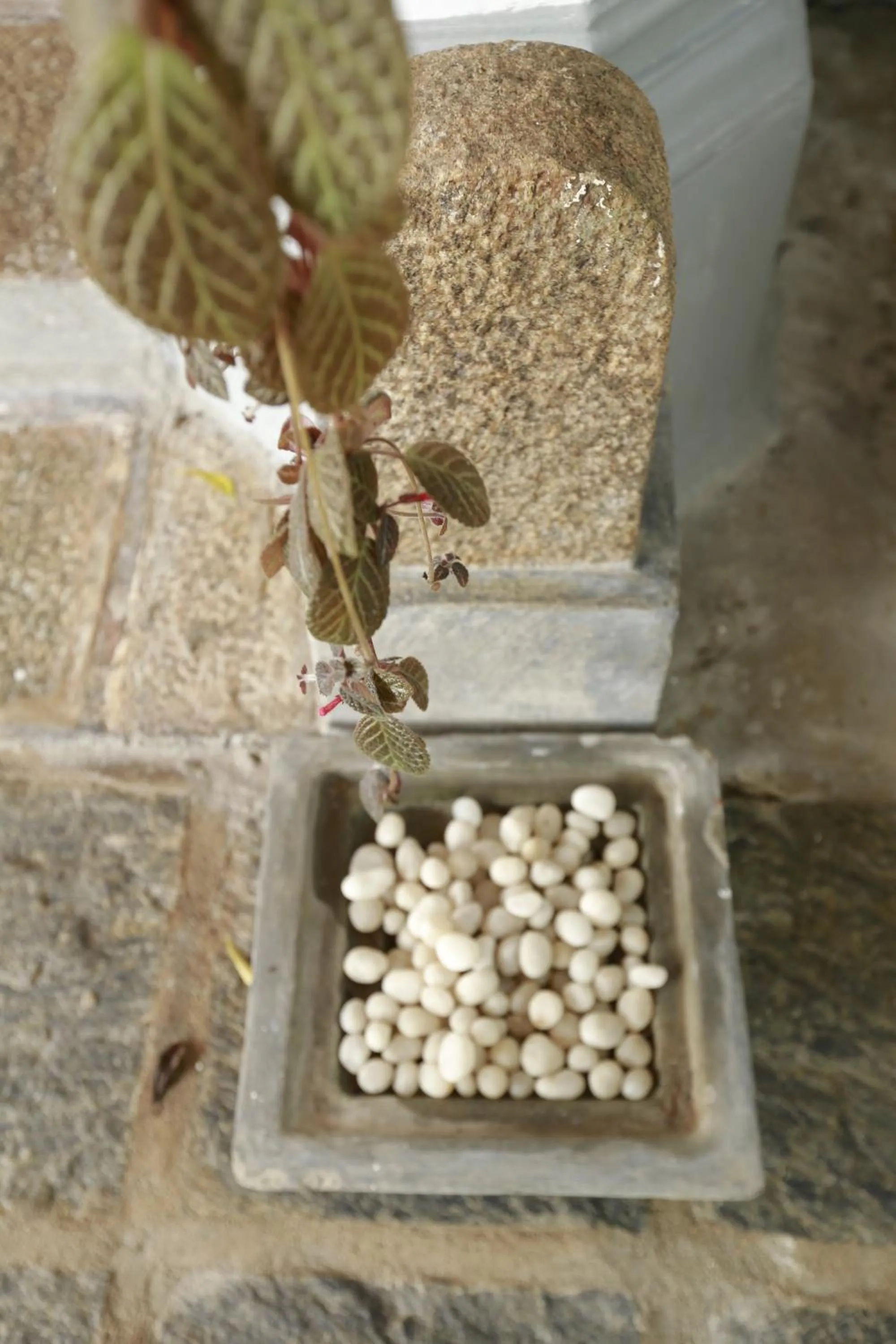 Decorative detail in Nooit Gedacht Heritage Hotel (Original Dutch Governors House)