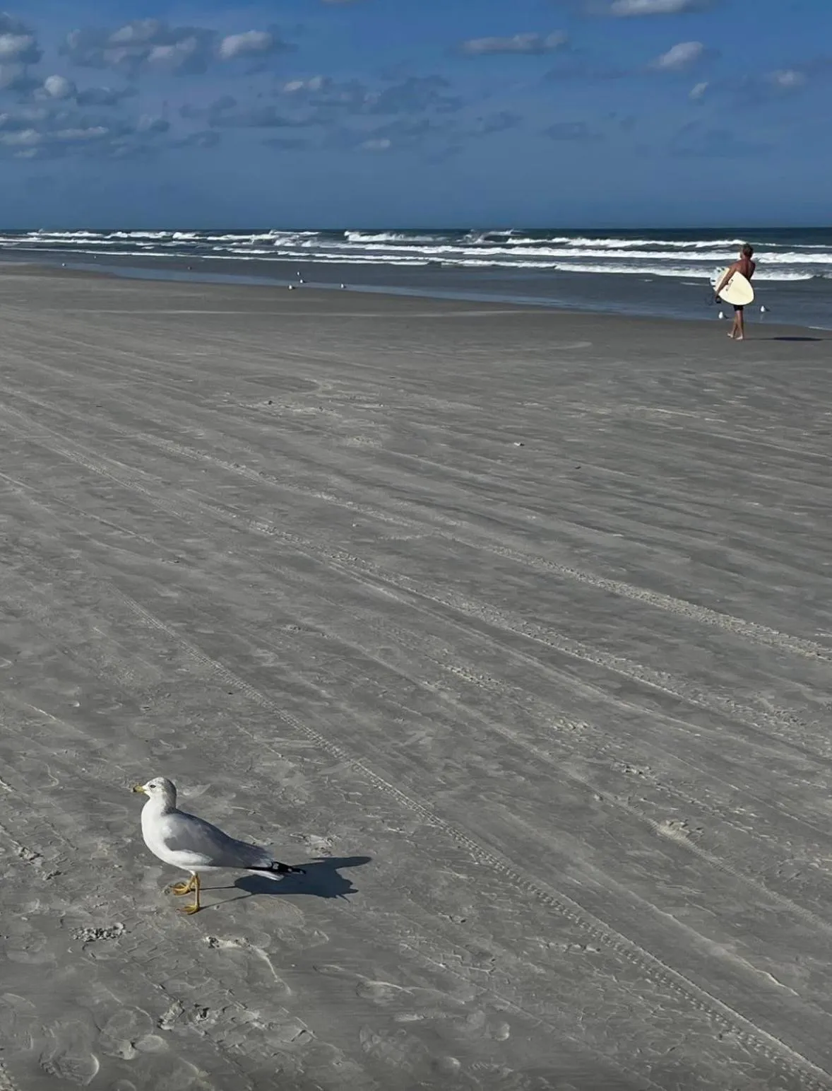 Beach in Ocean Beach Club