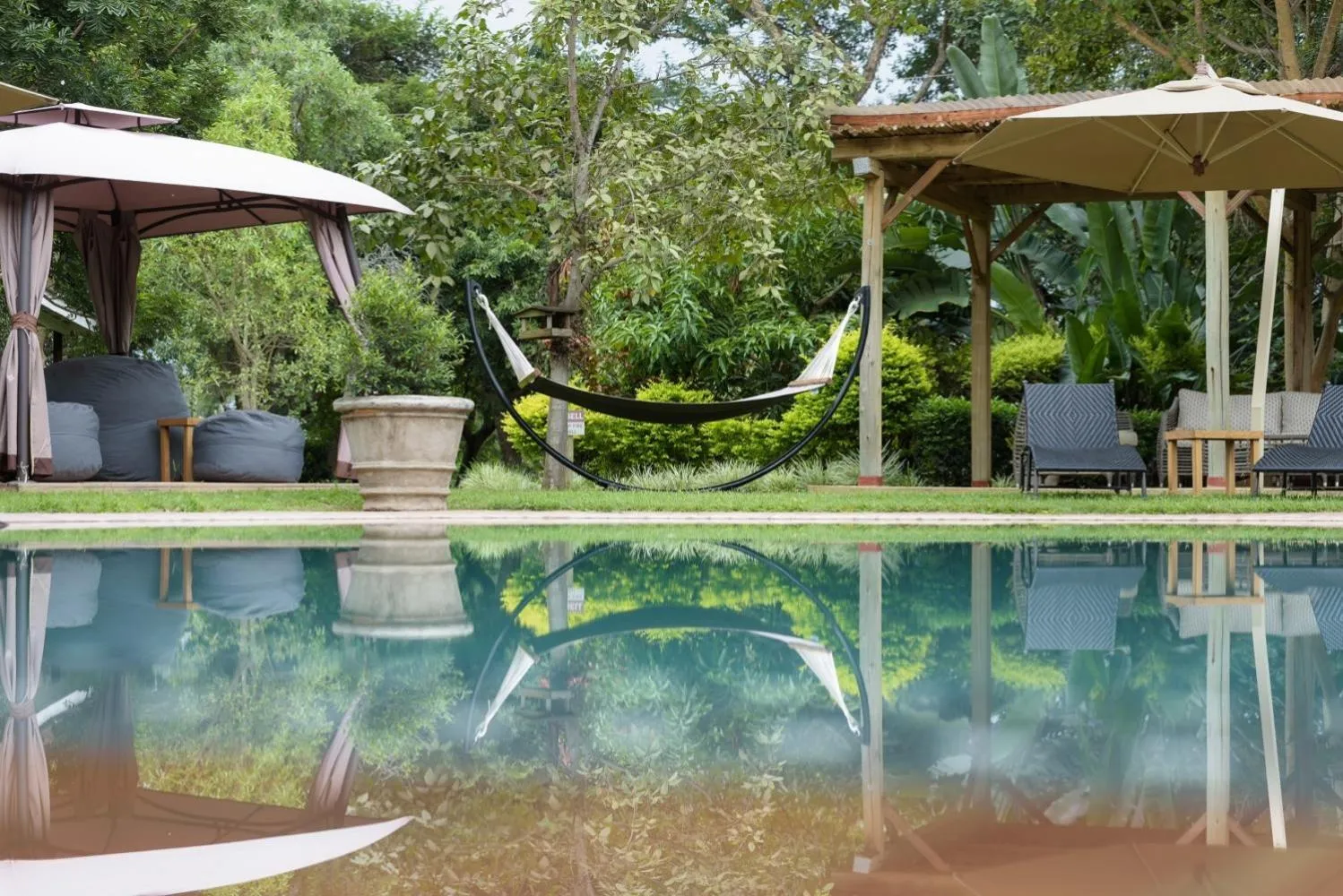 Swimming pool in Perry's Bridge Hollow Boutique Hotel