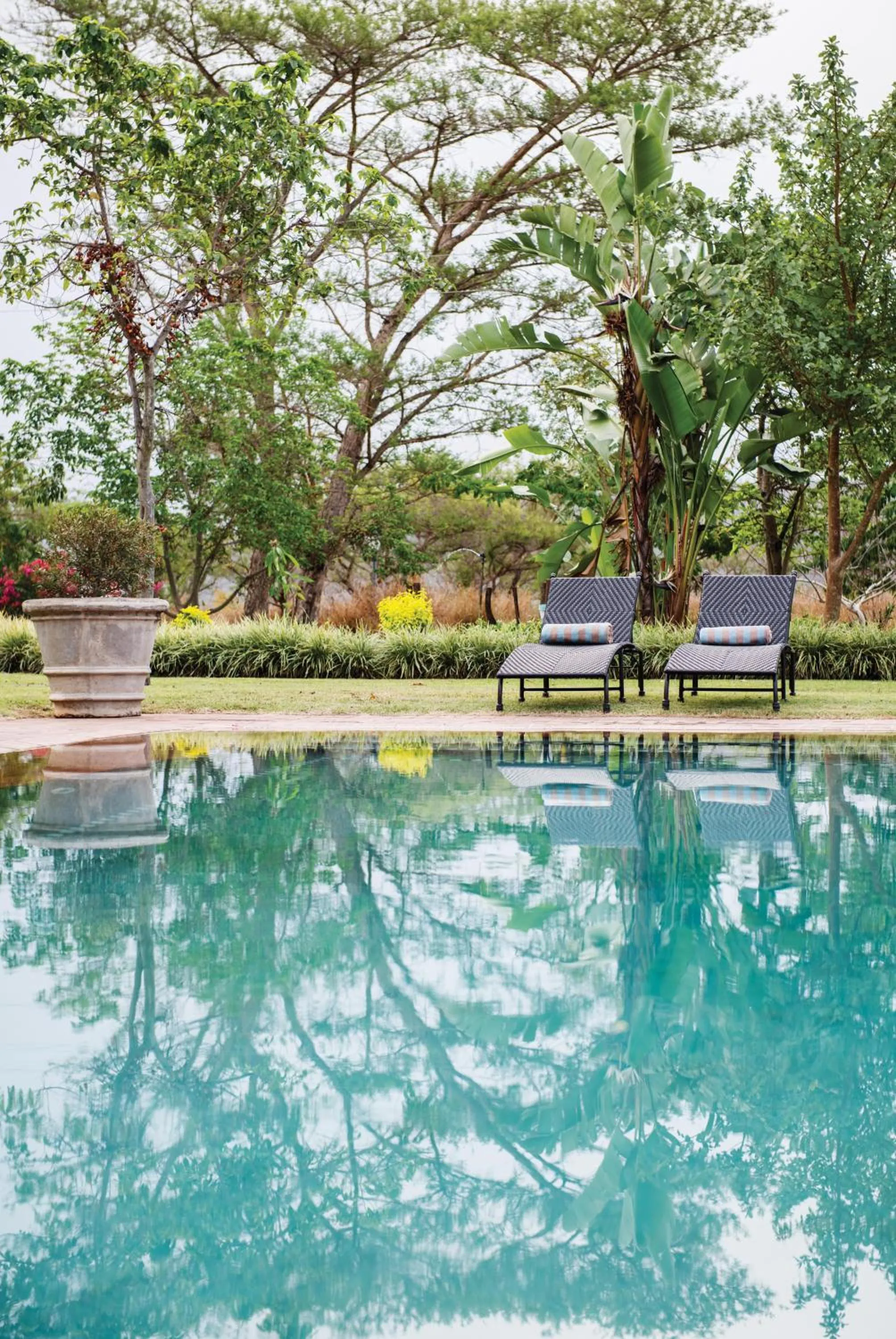 Swimming pool in Perry's Bridge Hollow Boutique Hotel