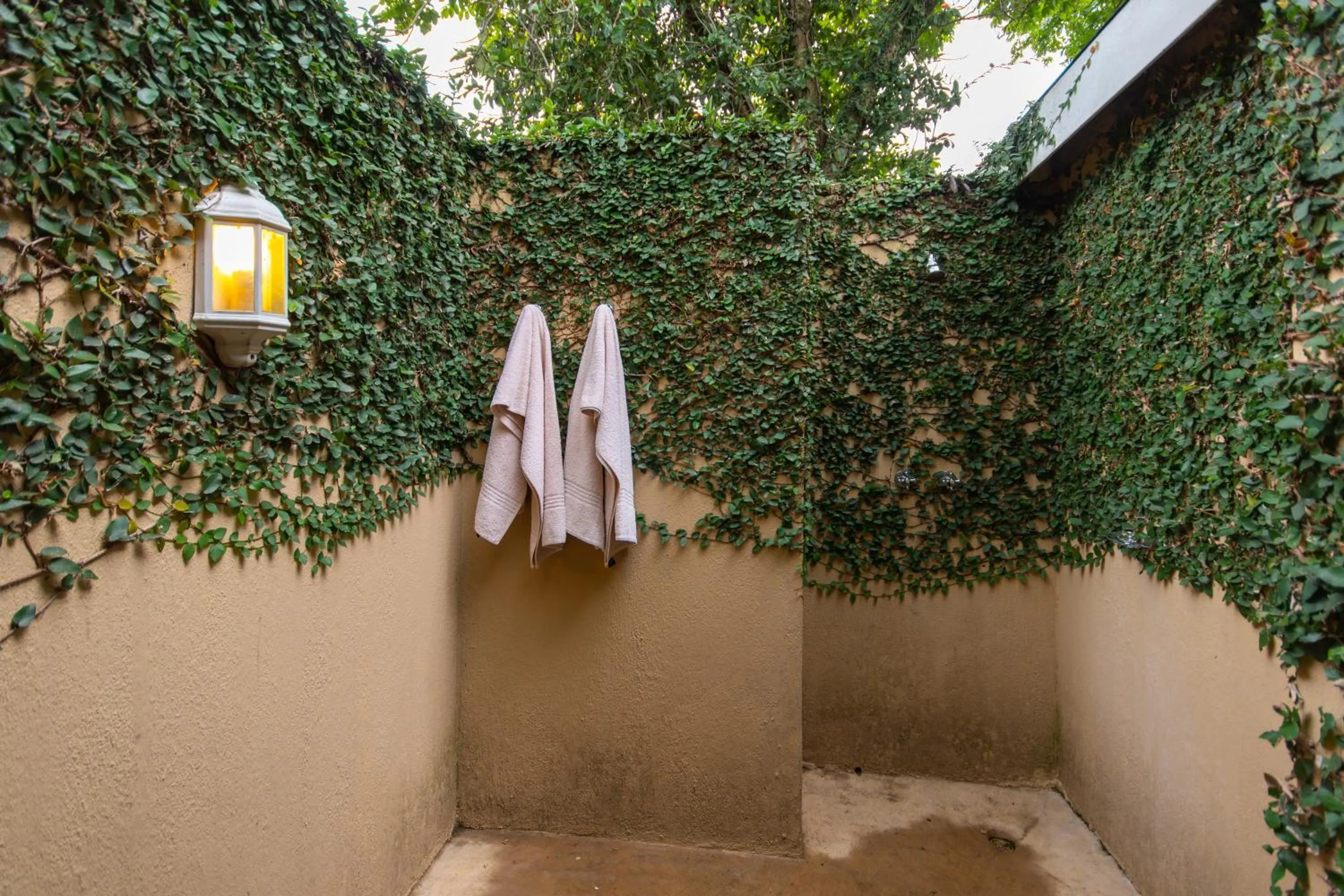 Shower in Perry's Bridge Hollow Boutique Hotel