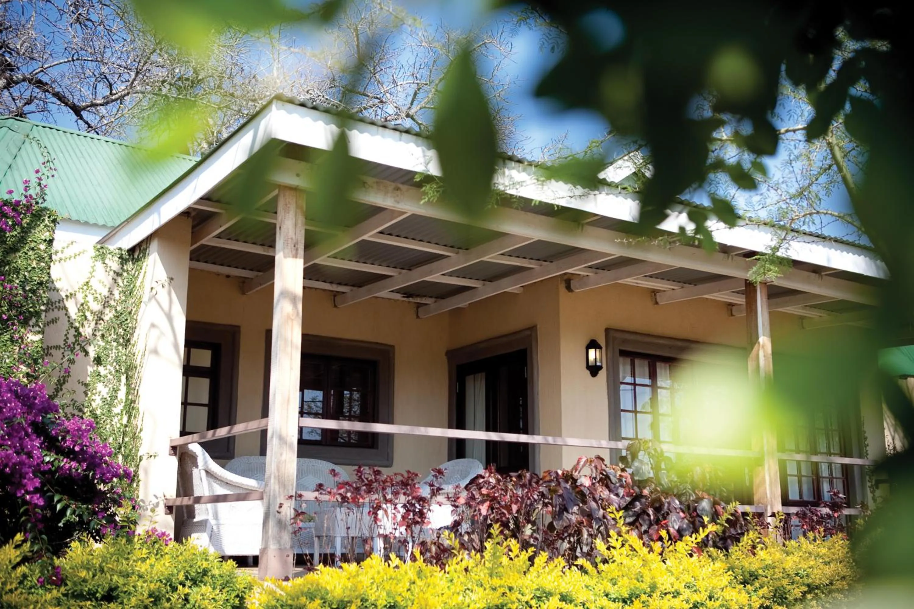 View (from property/room) in Perry's Bridge Hollow Boutique Hotel