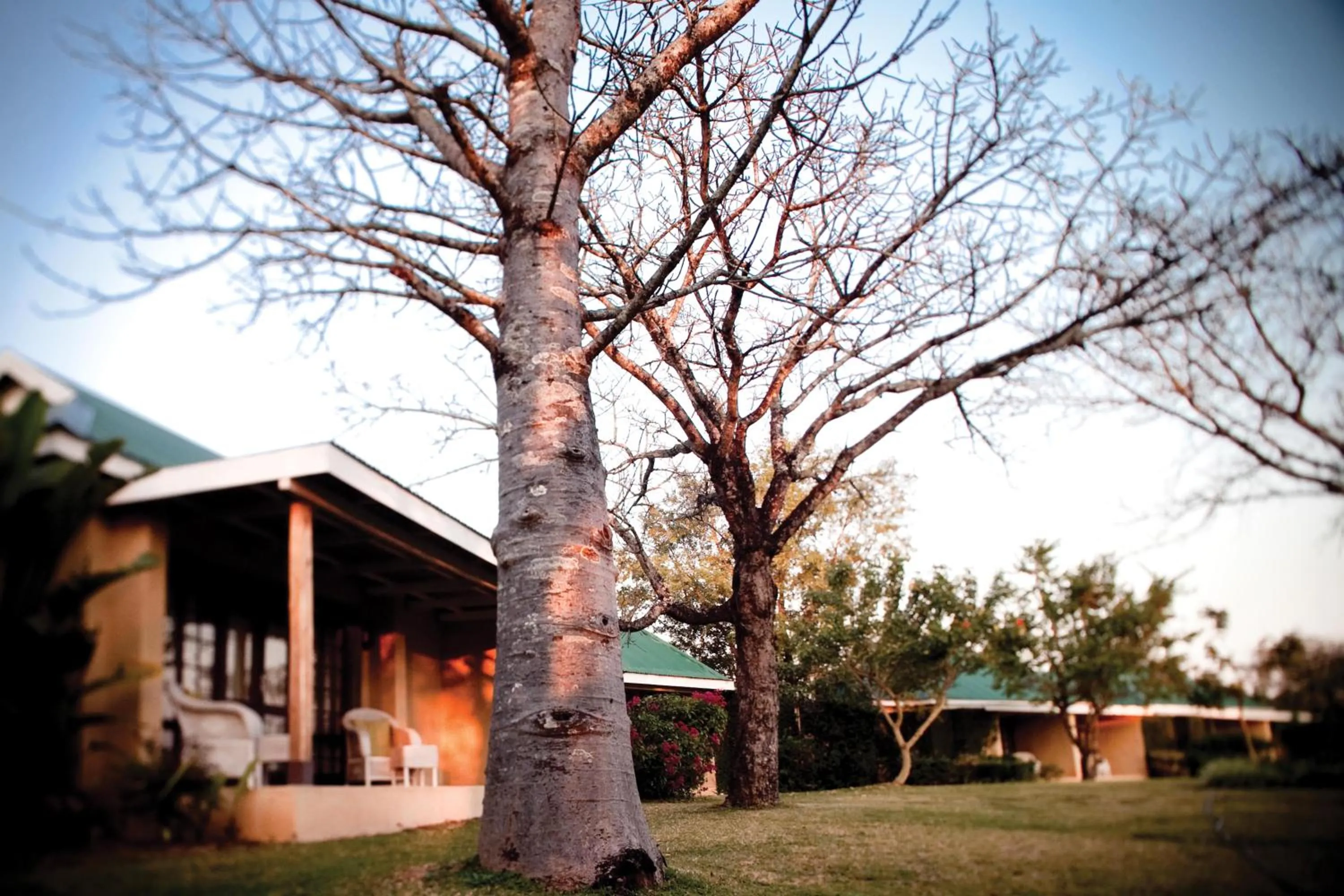Garden in Perry's Bridge Hollow Boutique Hotel