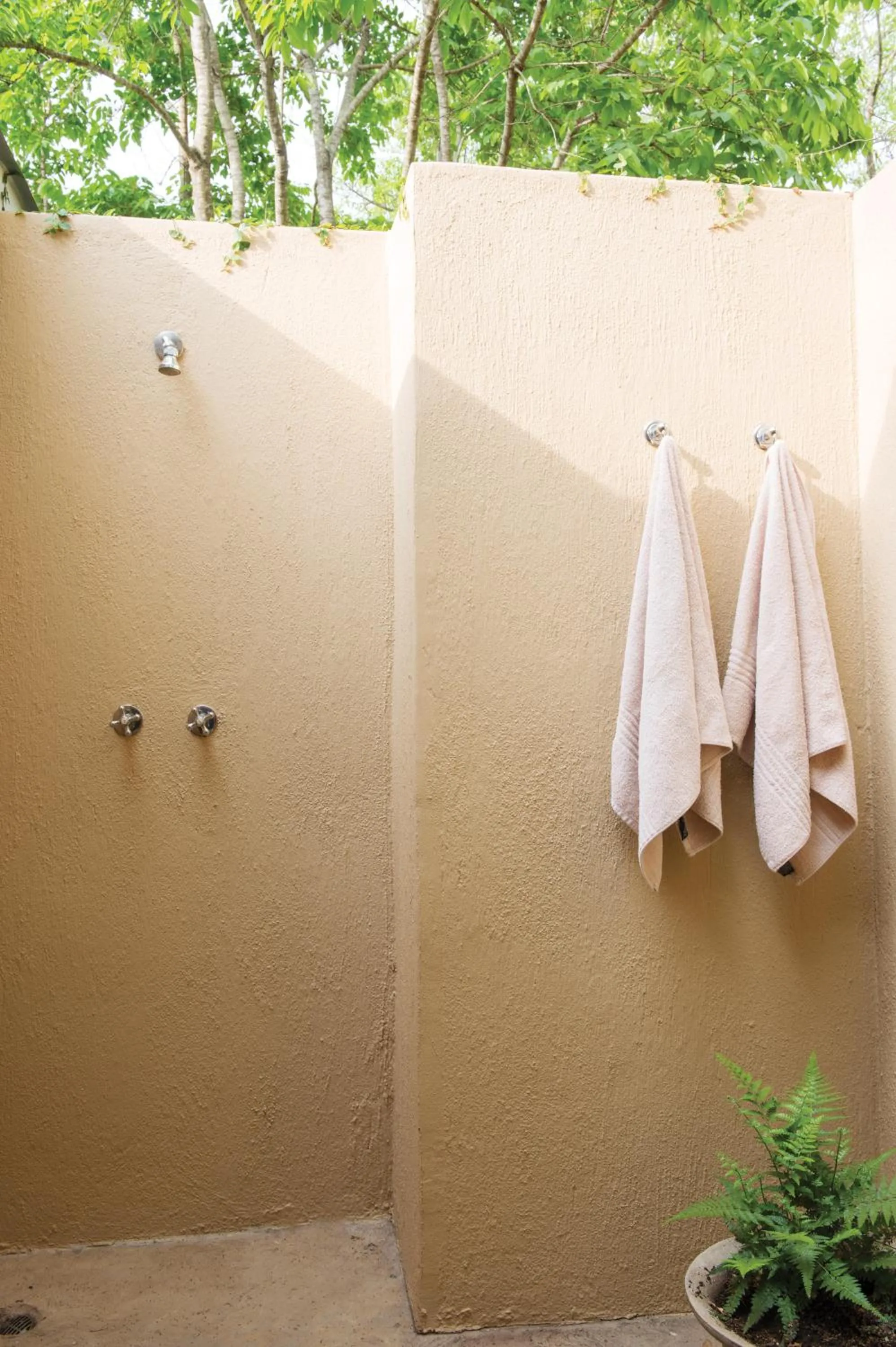 Shower in Perry's Bridge Hollow Boutique Hotel