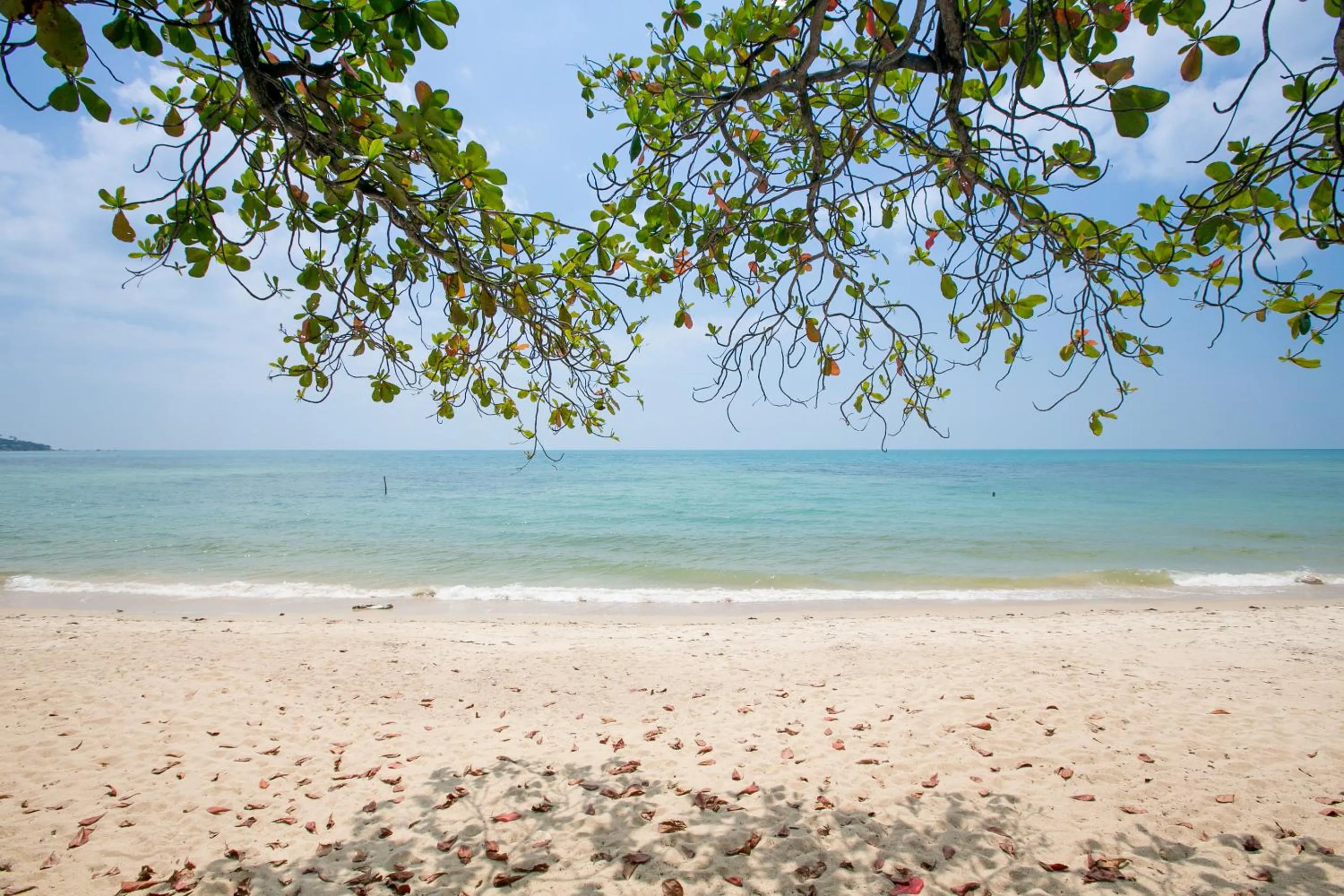 Beach in Lamai Resort