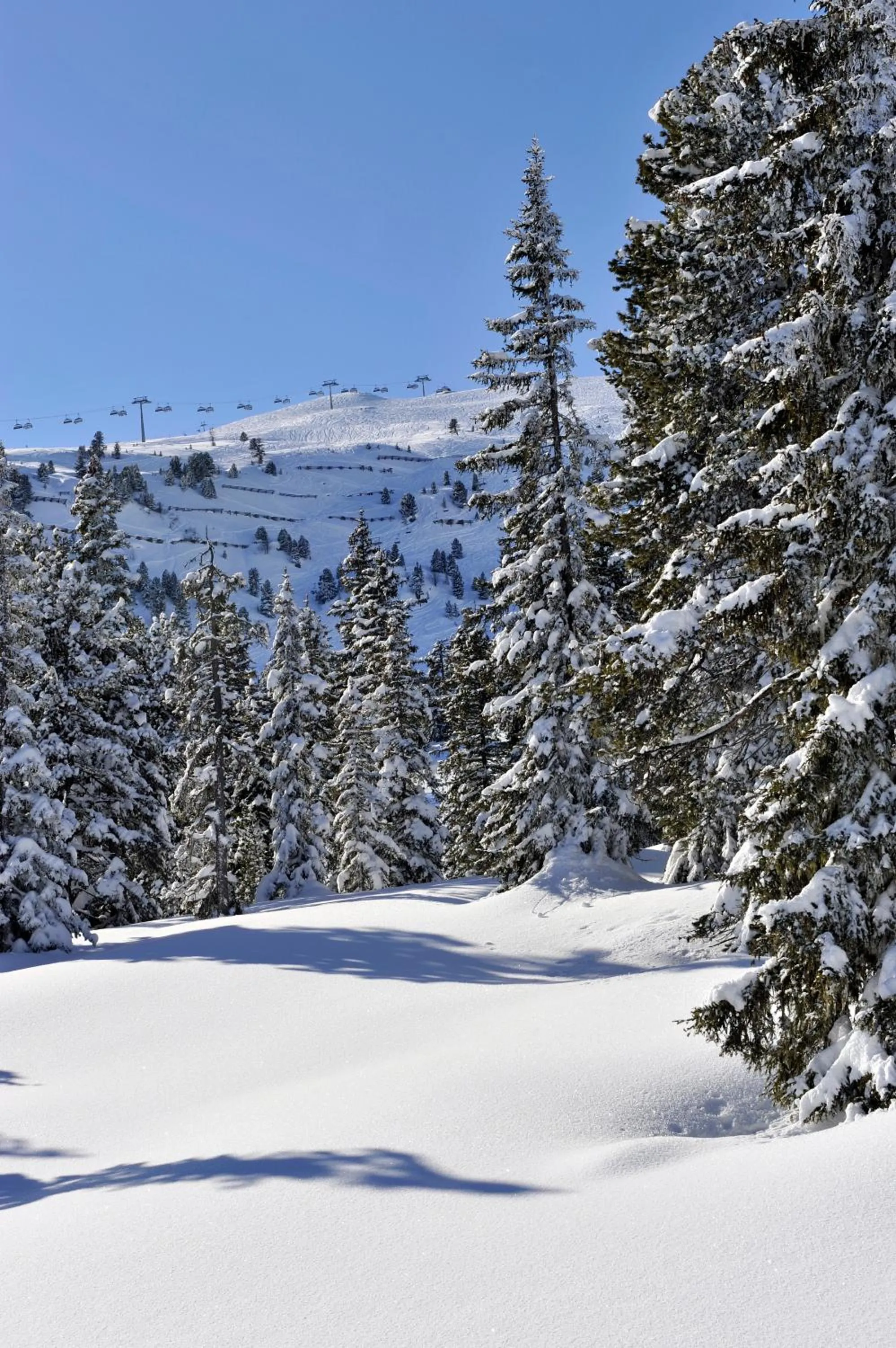 Skiing in SCOL Sporthotel Zillertal