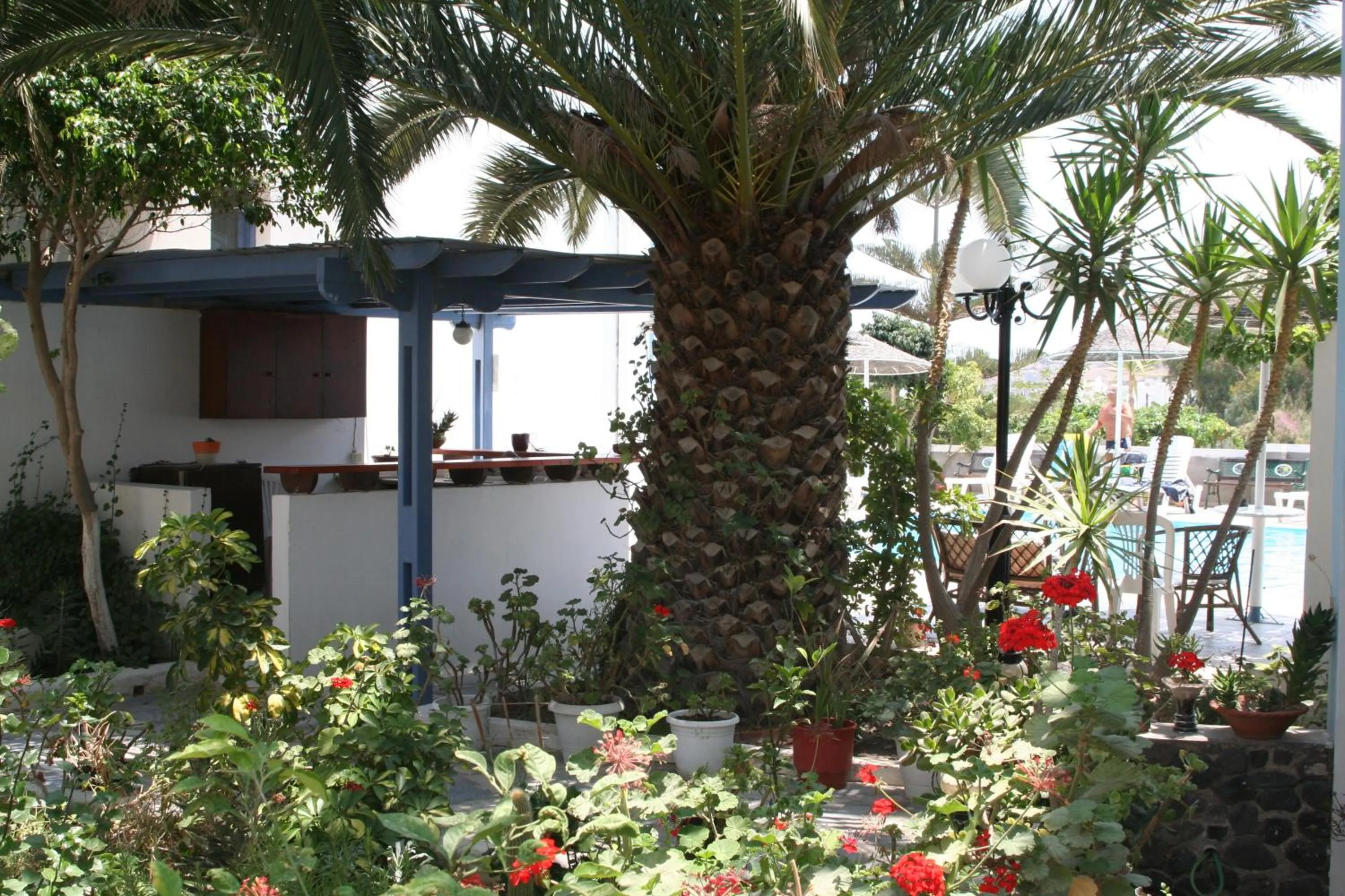 Lounge or bar in Hotel Kalma