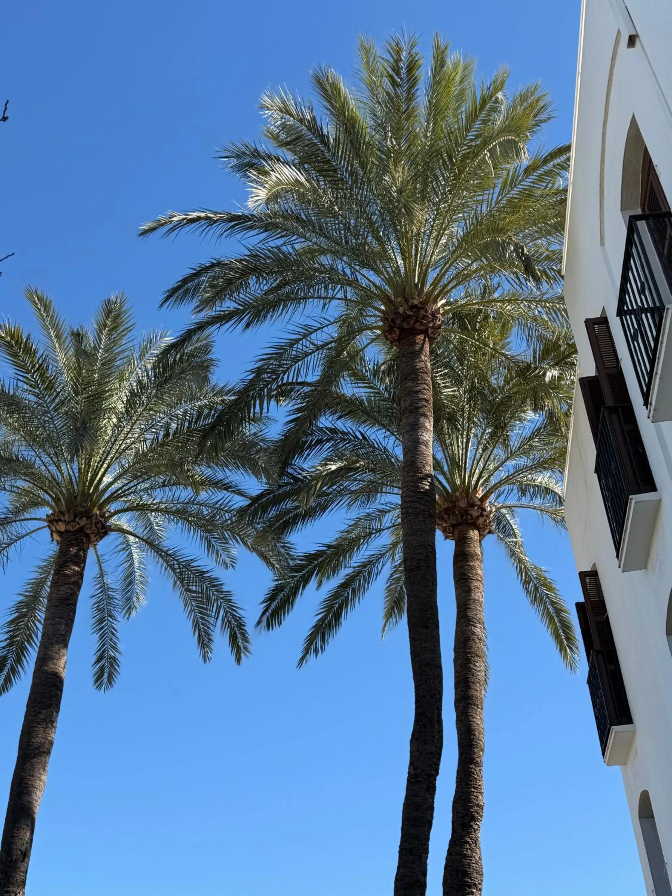 Property building in Macdonald Villacana Resort