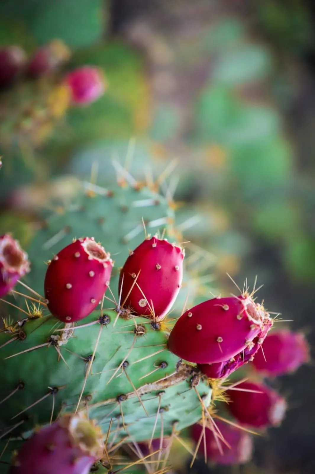 Property building in Hotel Colibrì