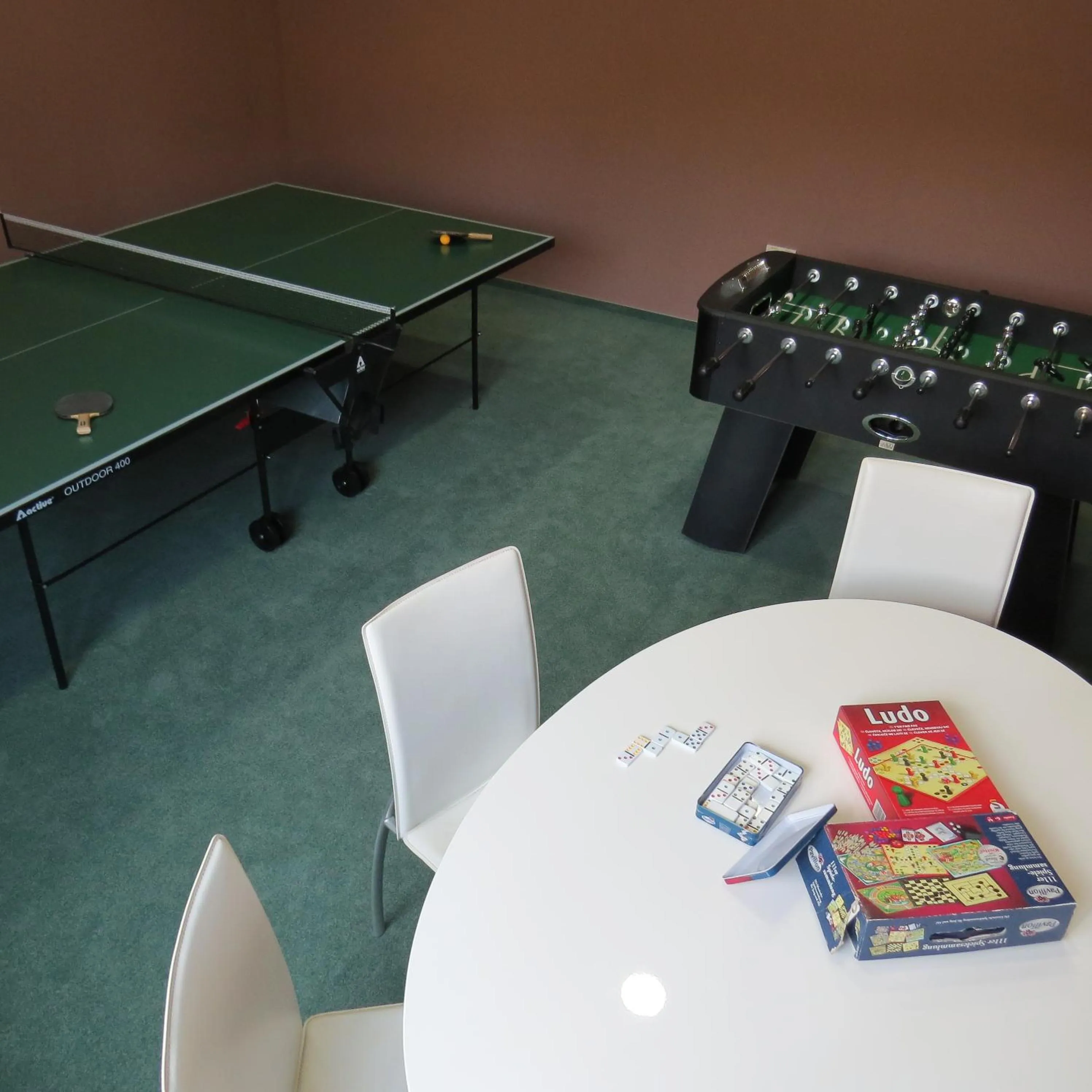 Game Room in Šiker B&B Hotel