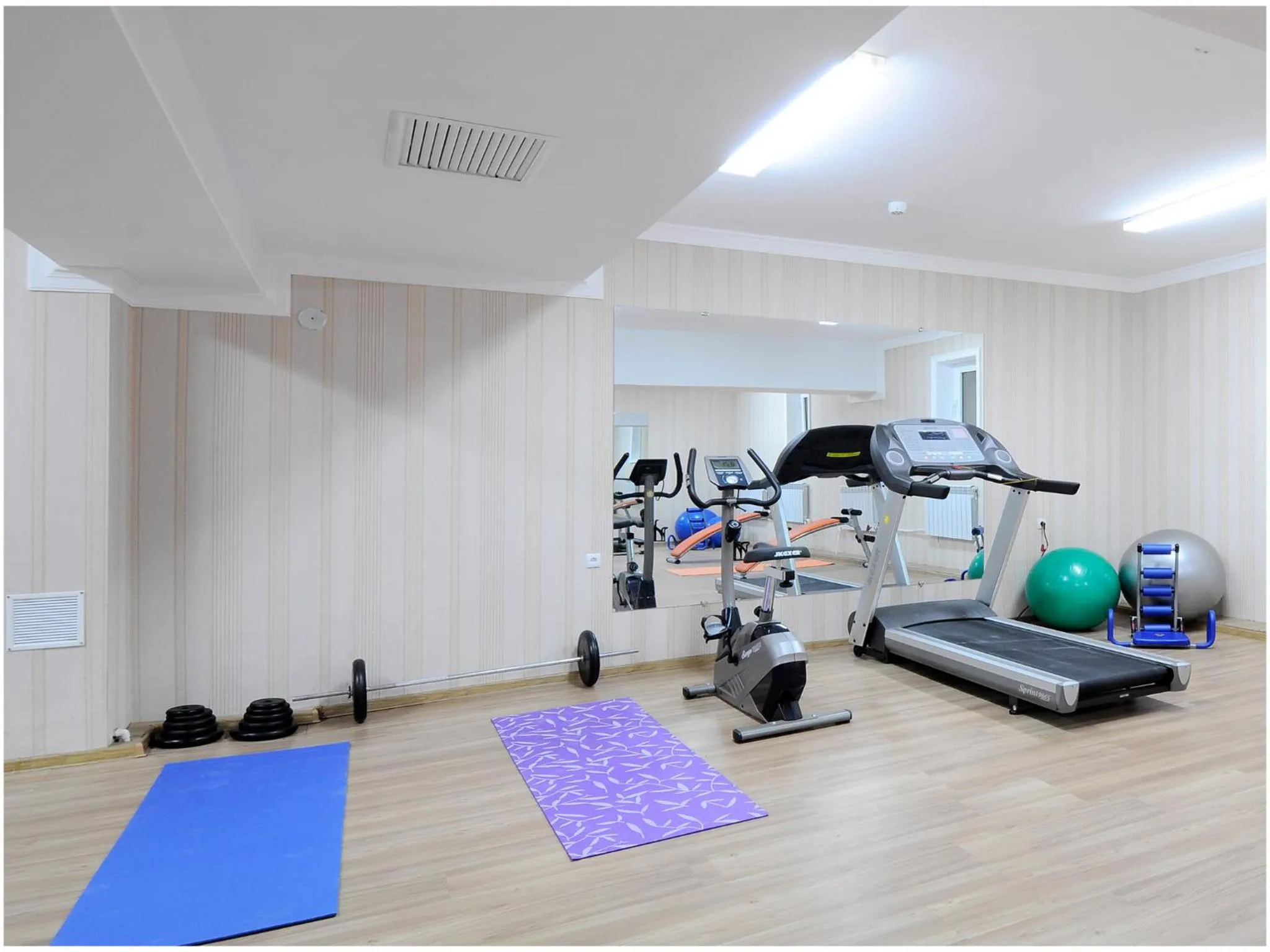 Fitness centre/facilities in Golden Valley Hotel