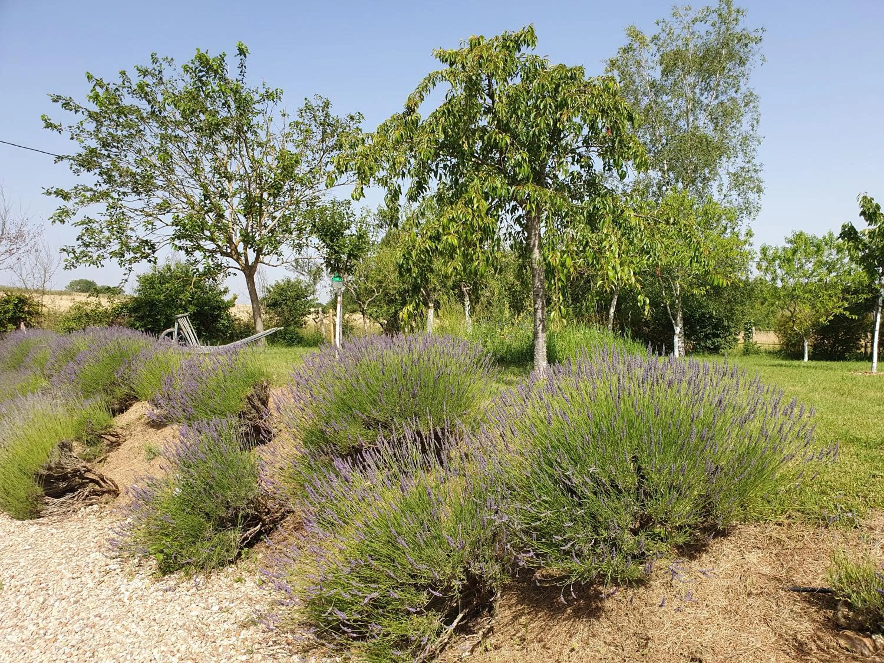 Garden in La Ferme Blanche
