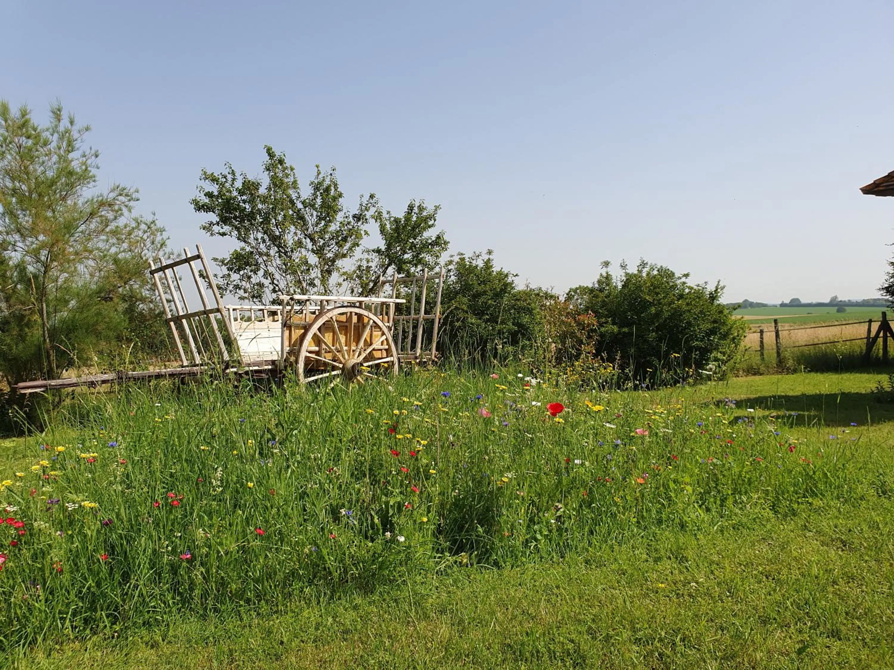 Garden in La Ferme Blanche