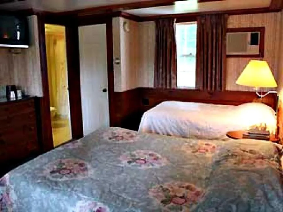 Photo of the whole room in White Trellis Motel