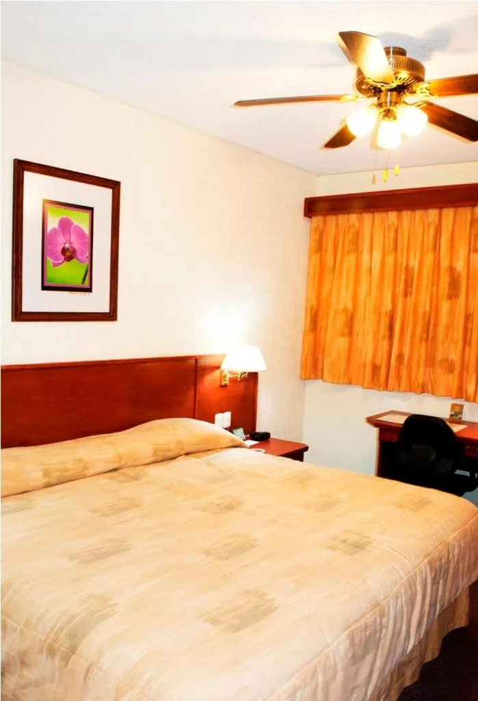 Bed in Hotel Marcella Clase Ejecutiva