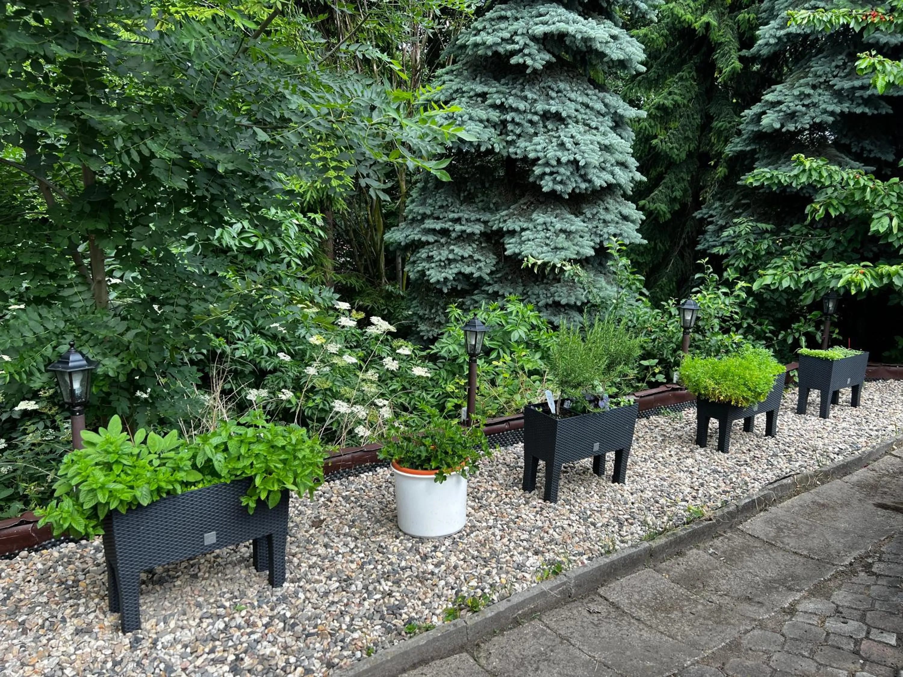 Natural landscape in Hotel Bohemia Excellent