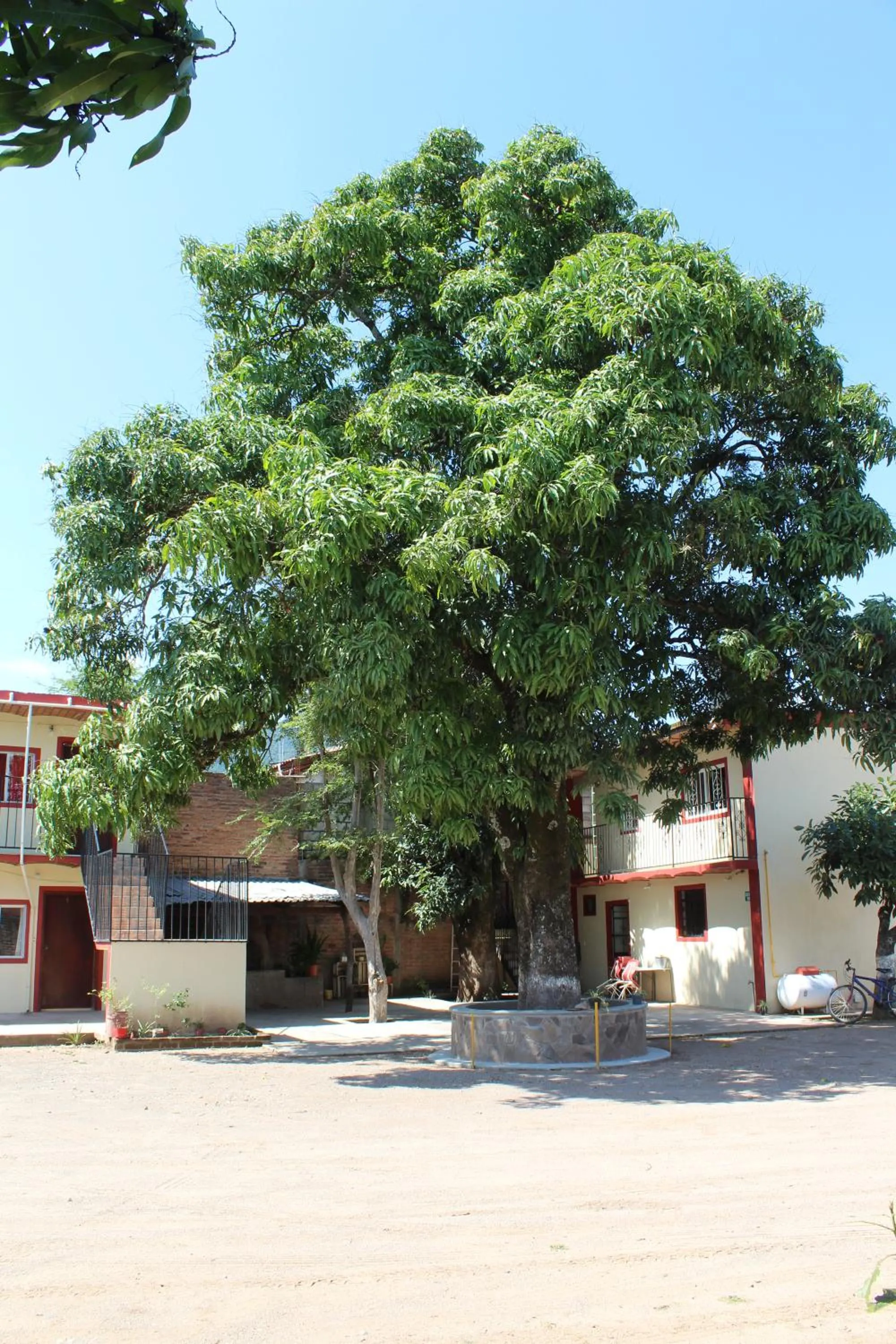 Property building in Meson La Huerta