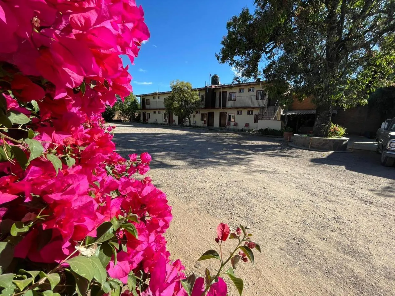 Spring in Meson La Huerta