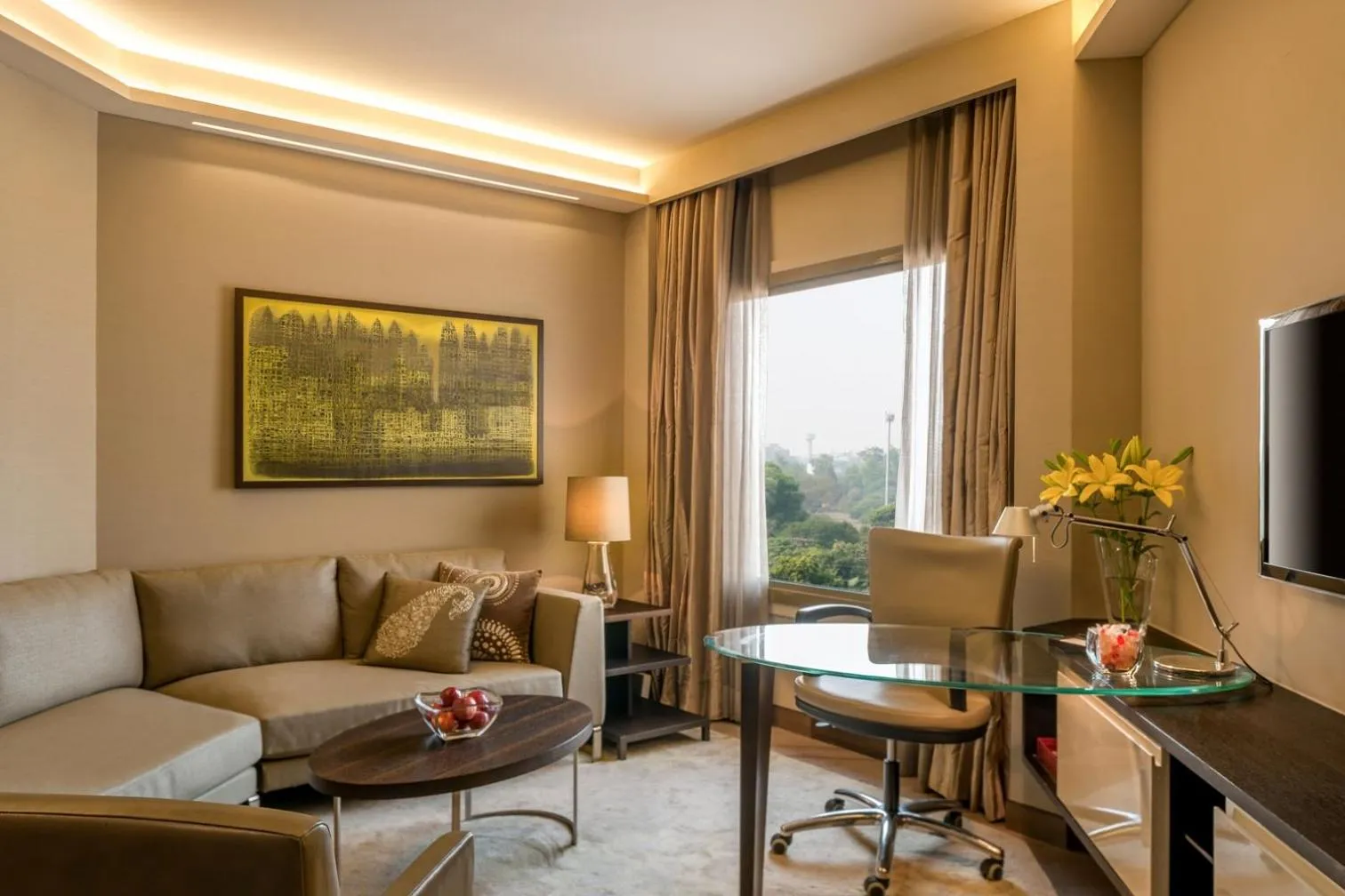 TV and multimedia in Hyatt Regency Delhi